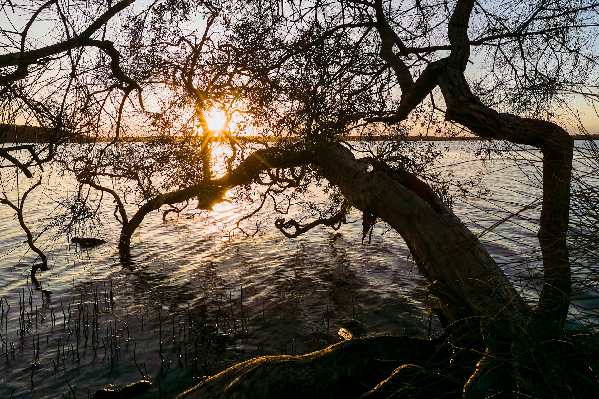 After the sunrise, Lake Weyba, Noosa