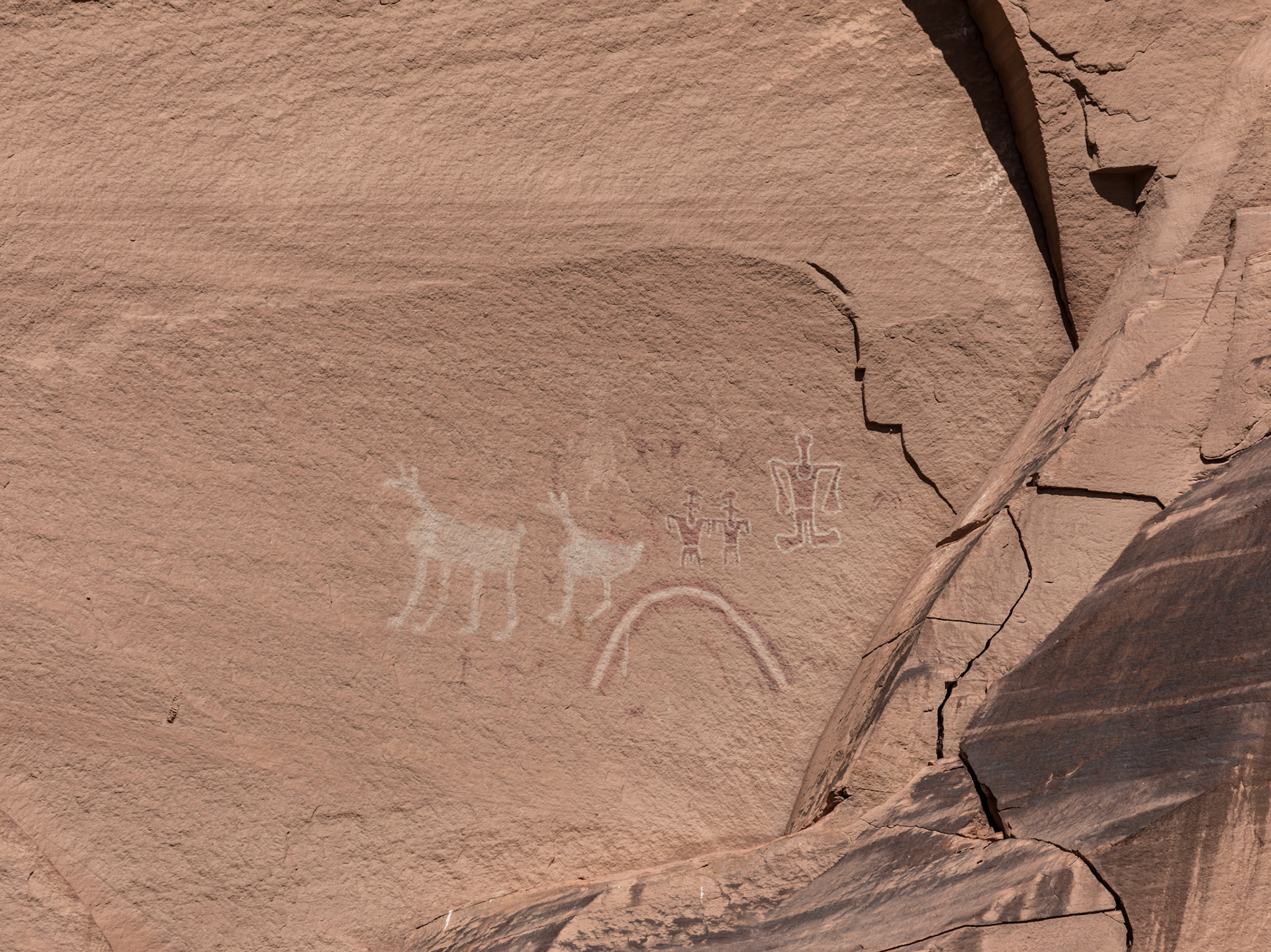 Petroglyphs & pictographs on the canyon wall