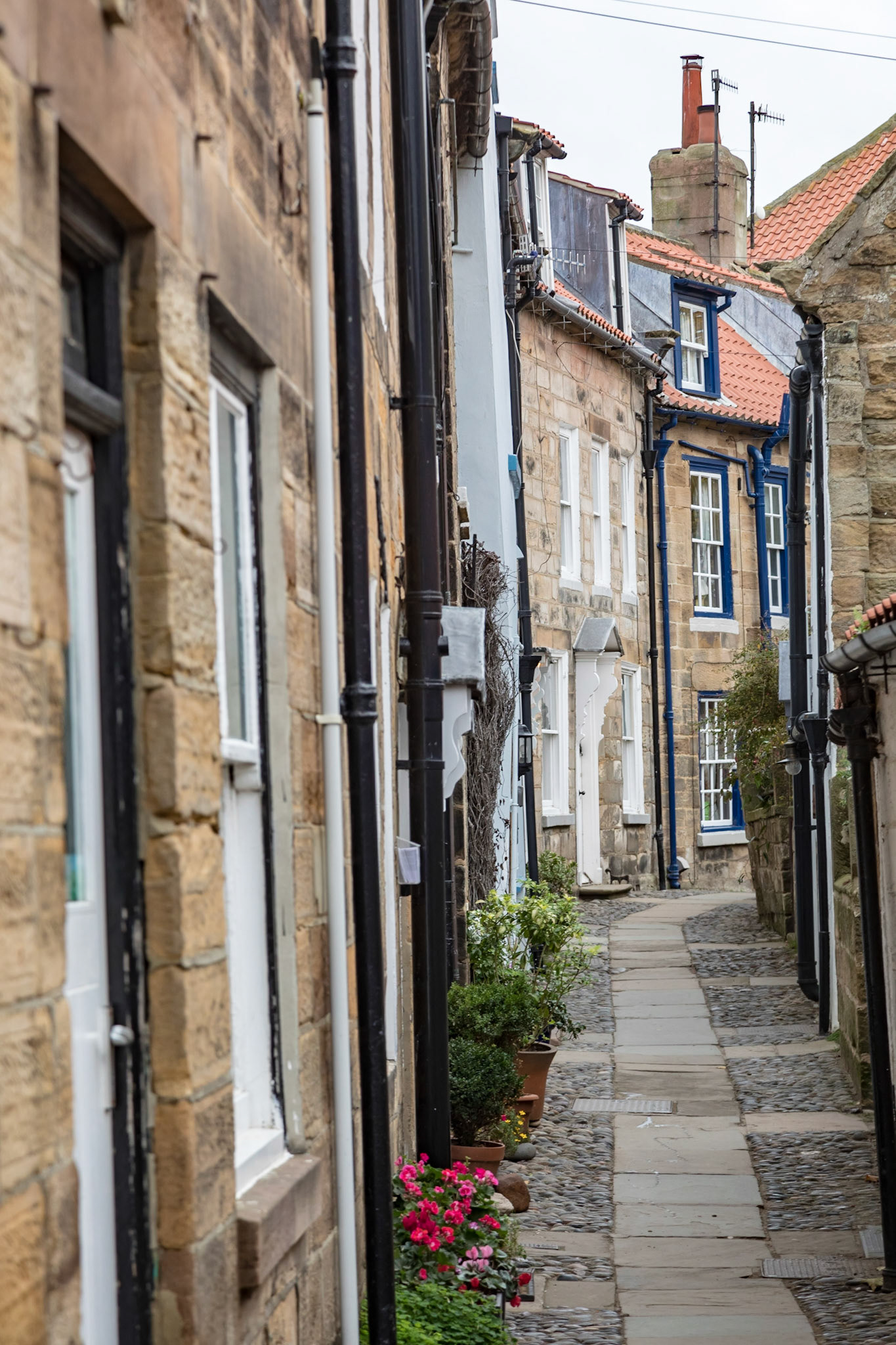 In Robin Hood's Bay, a small fishing village and a bay located in the North York Moors National Park.