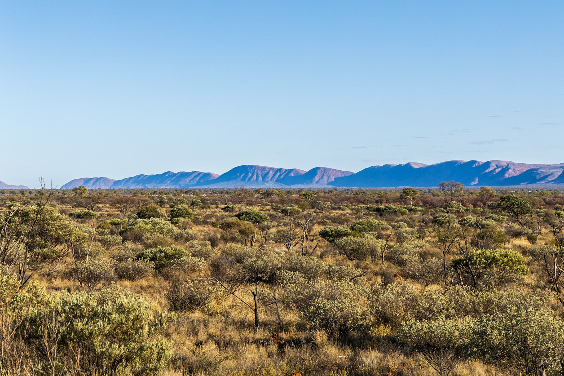 MacMeikan Range, from the Great Central Road