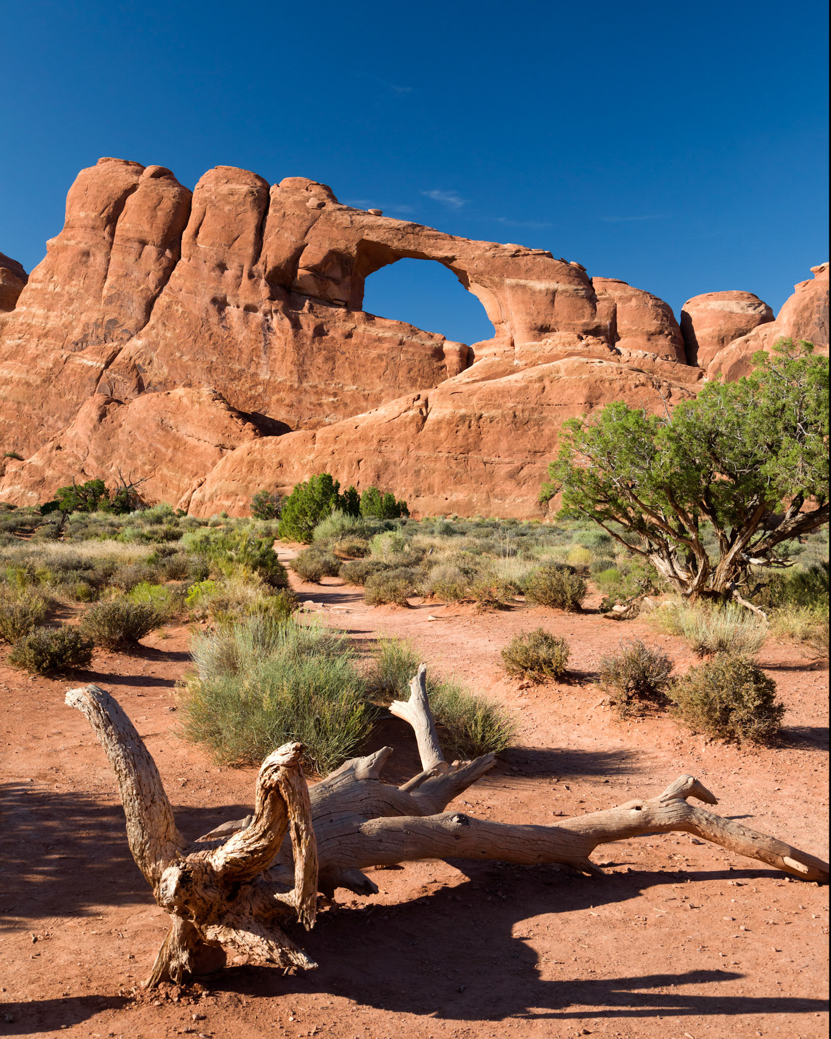 'Skyline Arch'. Arches National Park