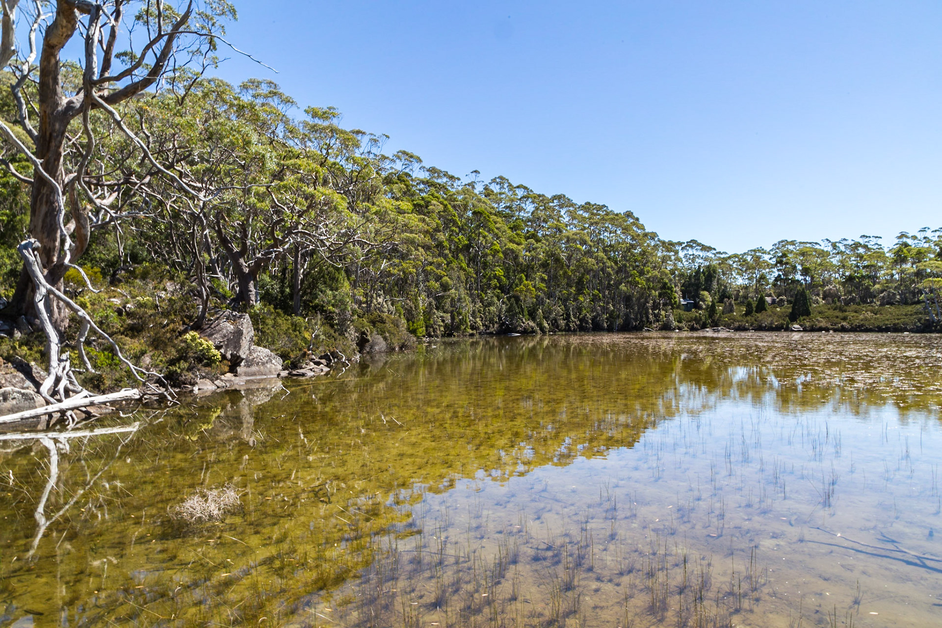 Eagle Tarn - Mount Field National Park