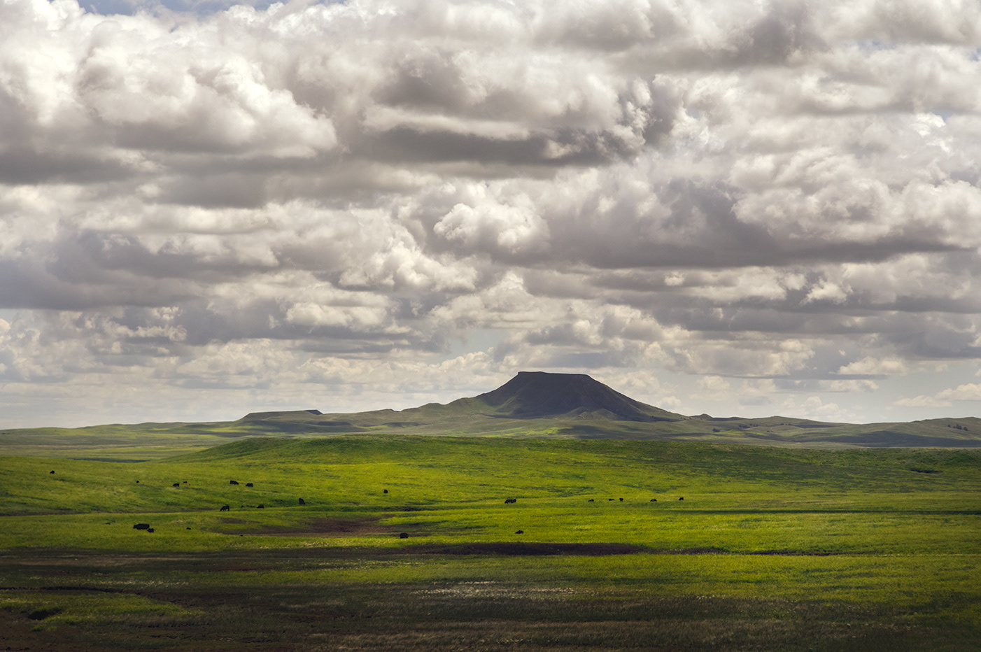 9 July: near Belle Fourche, South Dakota