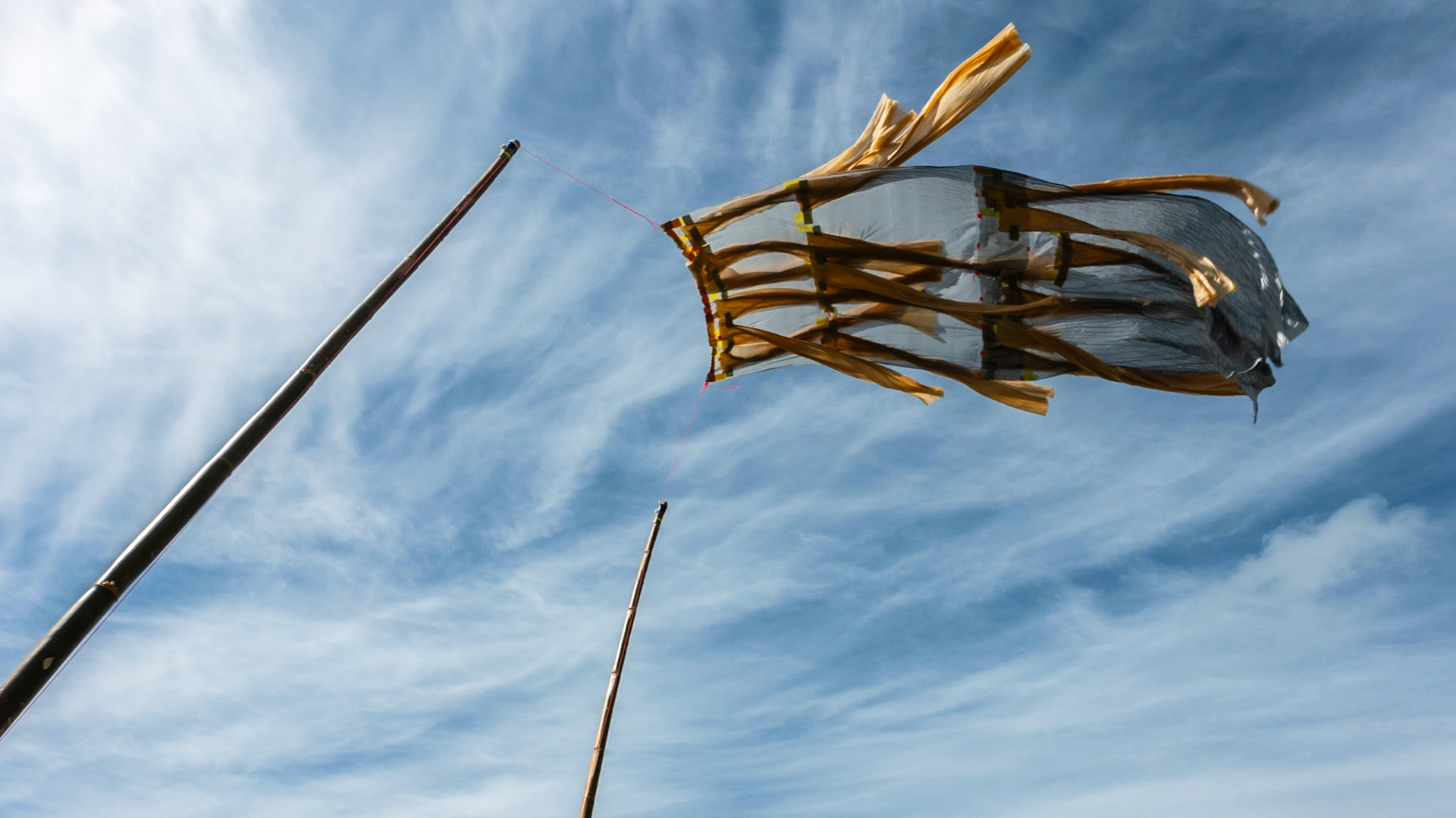 On Waiheke Island; 'Sculpture on the Gulf'