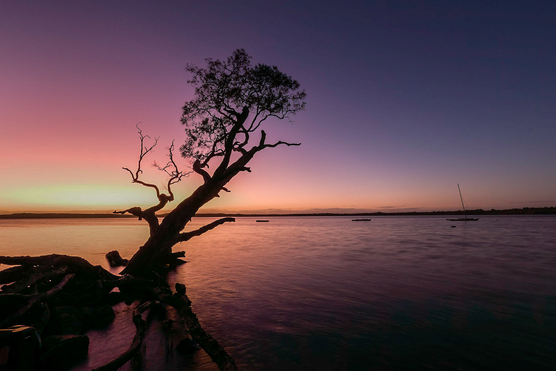 Sunrise photo shoot at Weyba Tree, Noosa