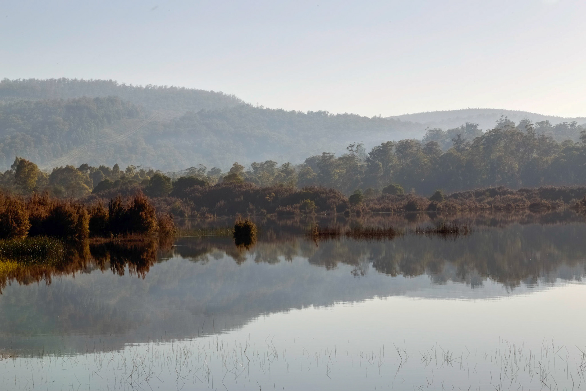 On the edge of the Wayatinah Lagoon
