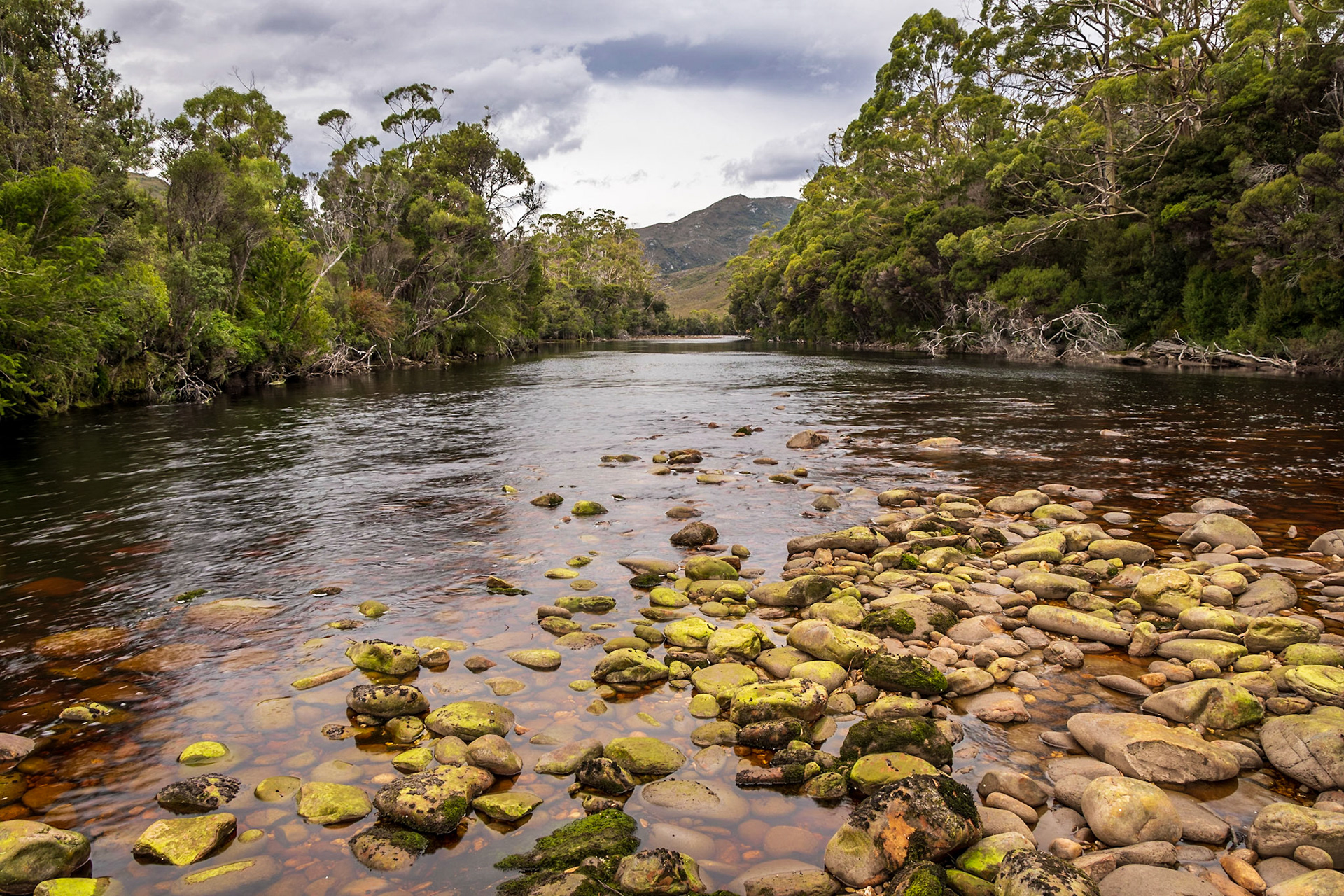 Old River