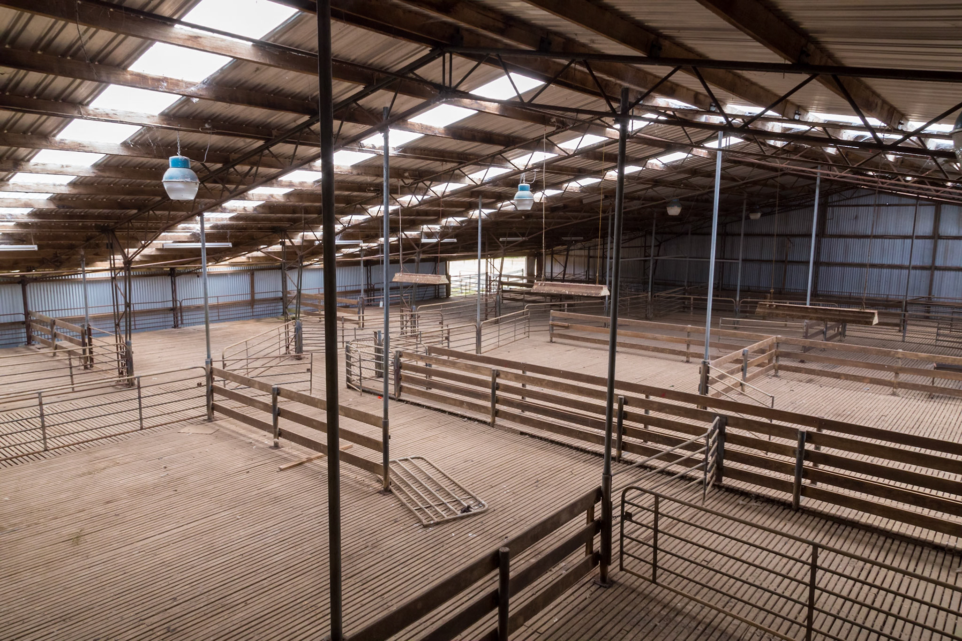 Sheep pens - Woolnorth shearing shed. No longer in use for sheep shearing