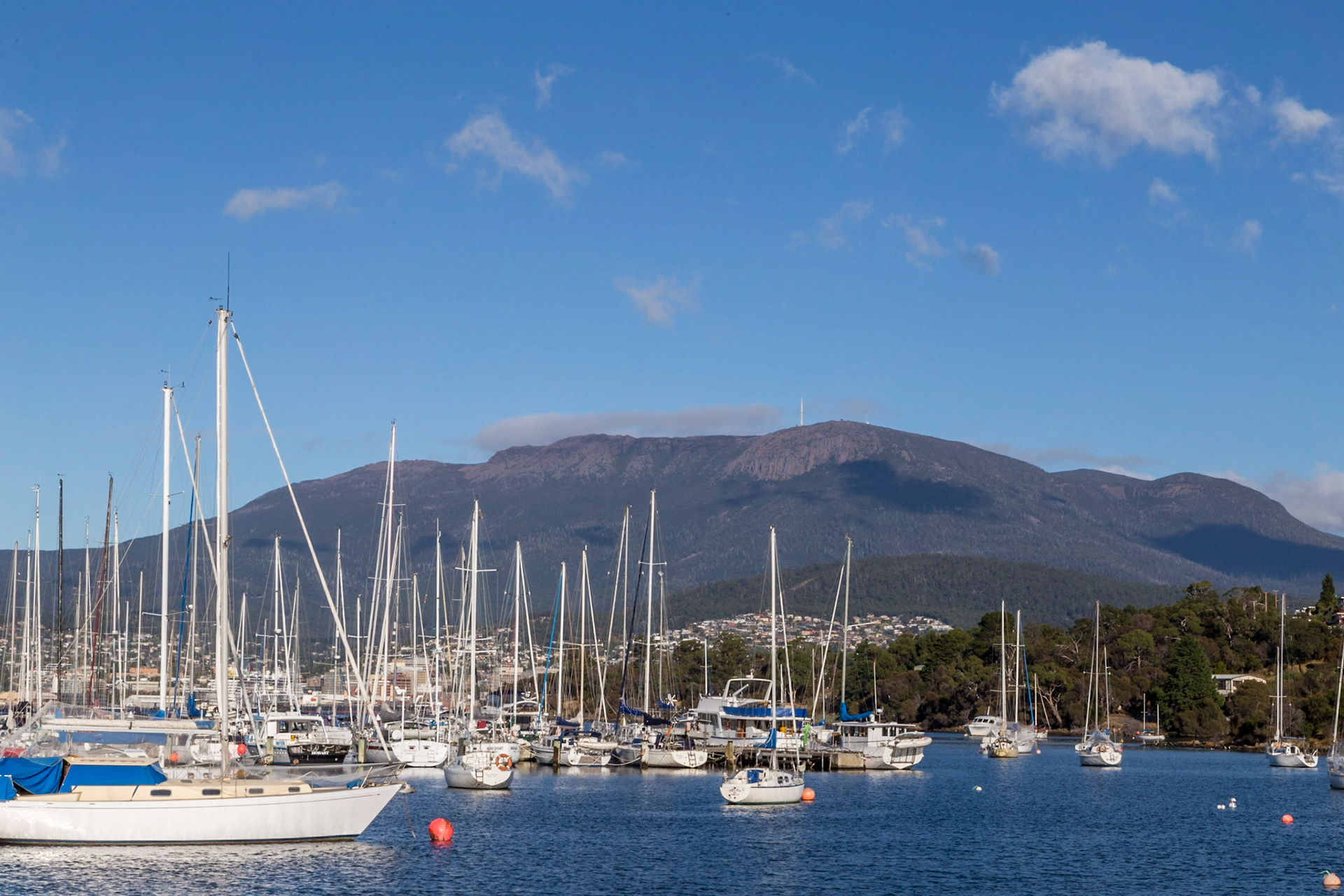 Kangaroo Bay, Bellerive