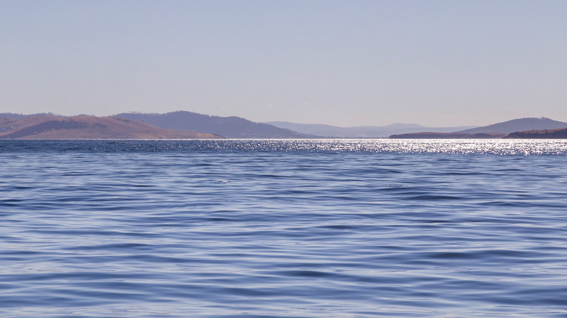 In the River Derwent, out from Blackmans Bay