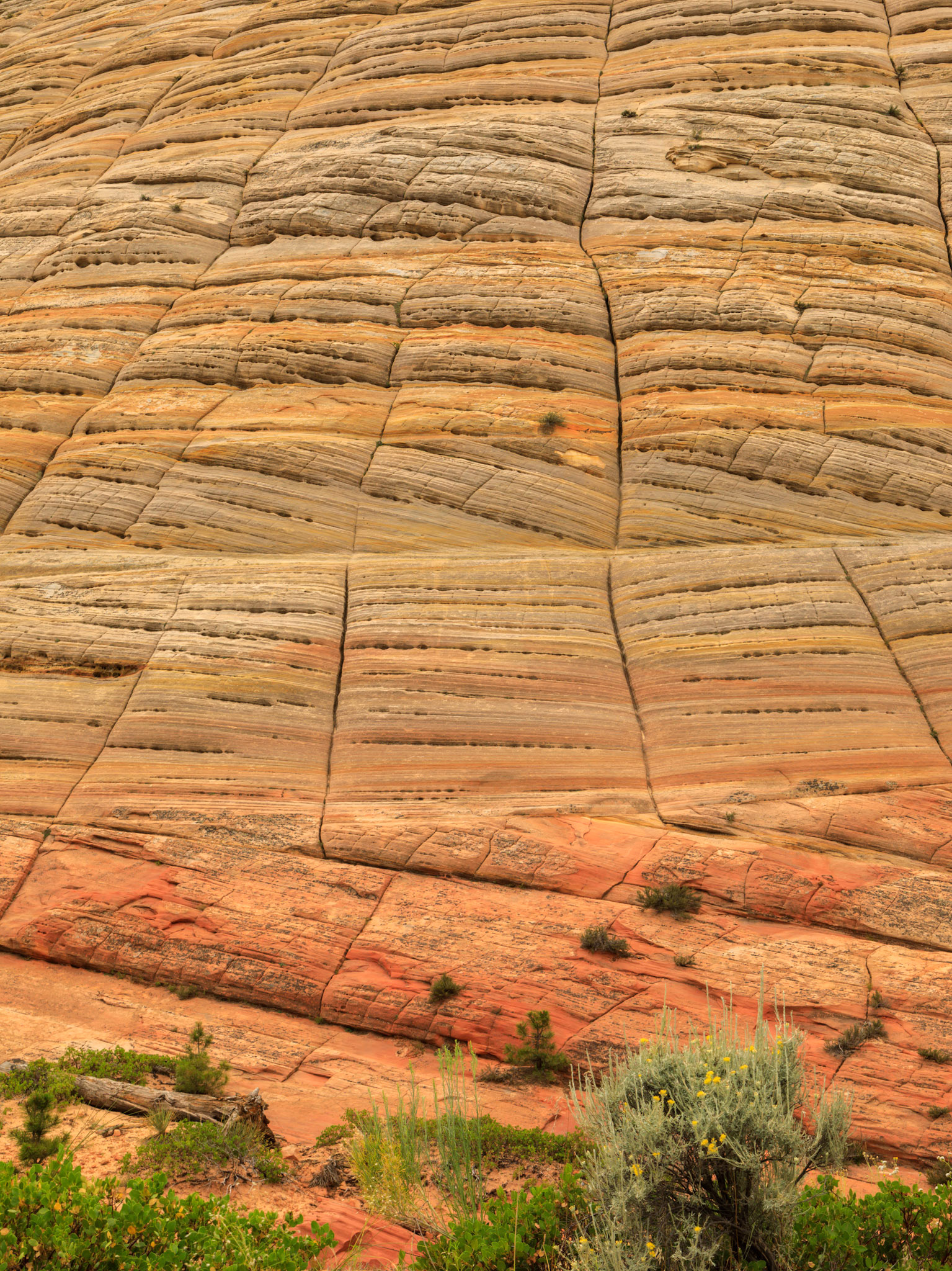 Side detail on Checkerboard Mesa