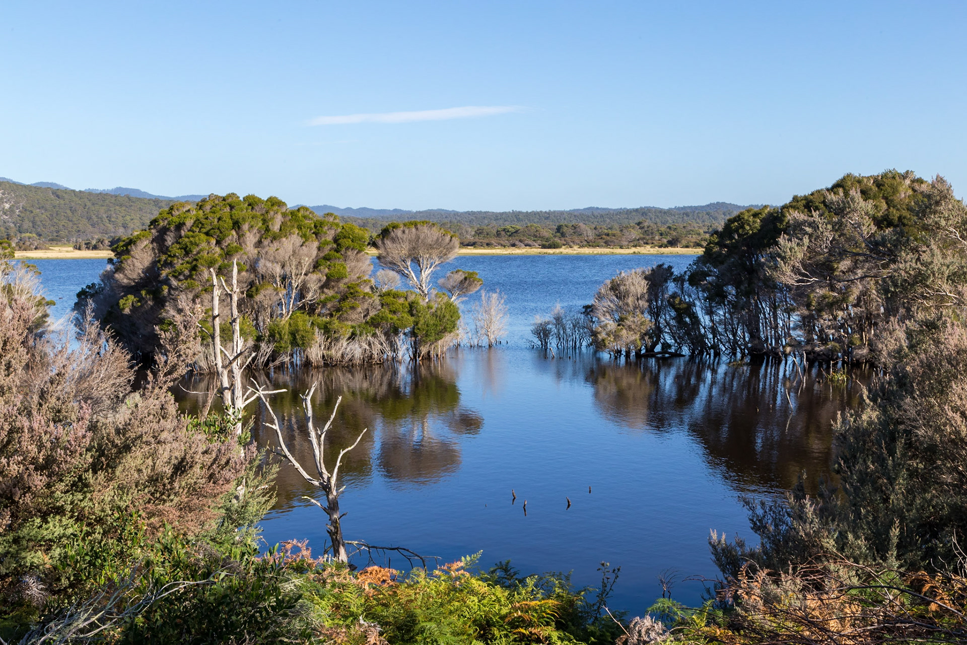 Narawntapu National Park