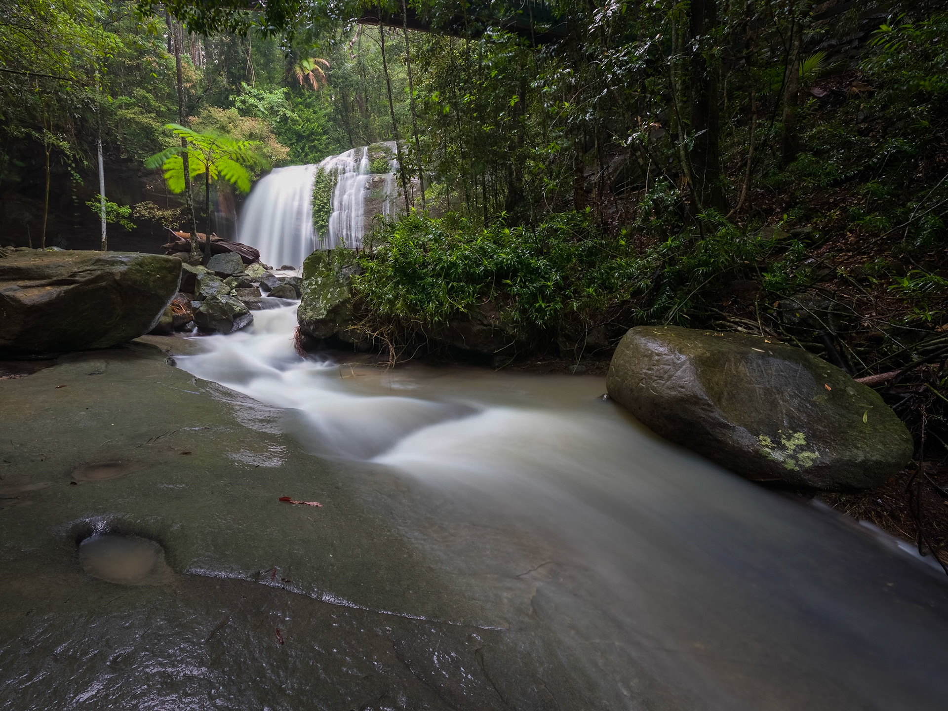 Buderim (Serenity) Falls