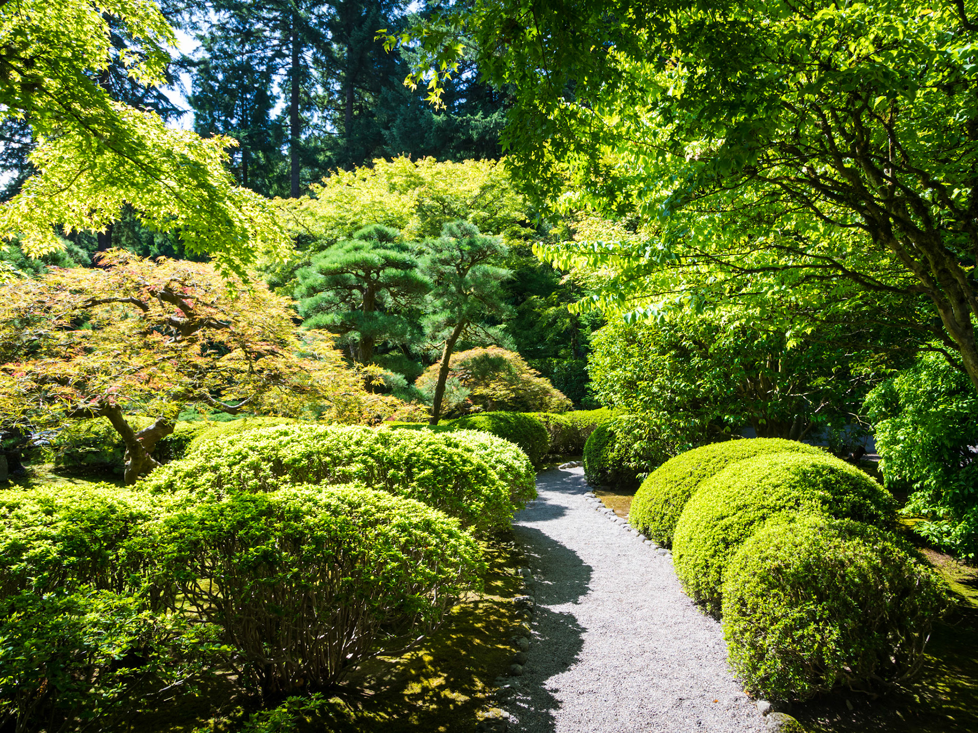 In the Portland Japanese Garden