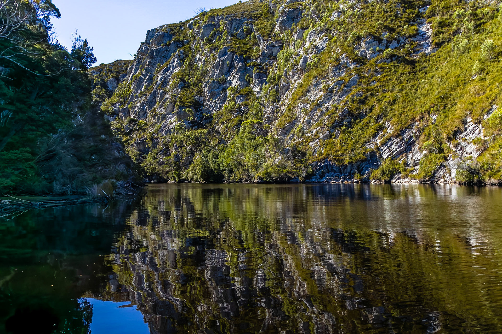In the Davey River Gorge.