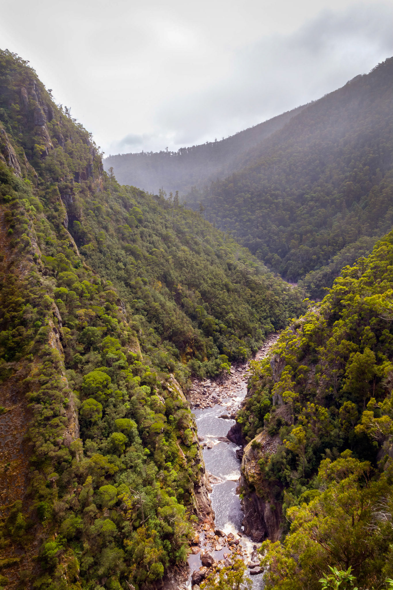 From Edge Lookout, Leven Canyon
