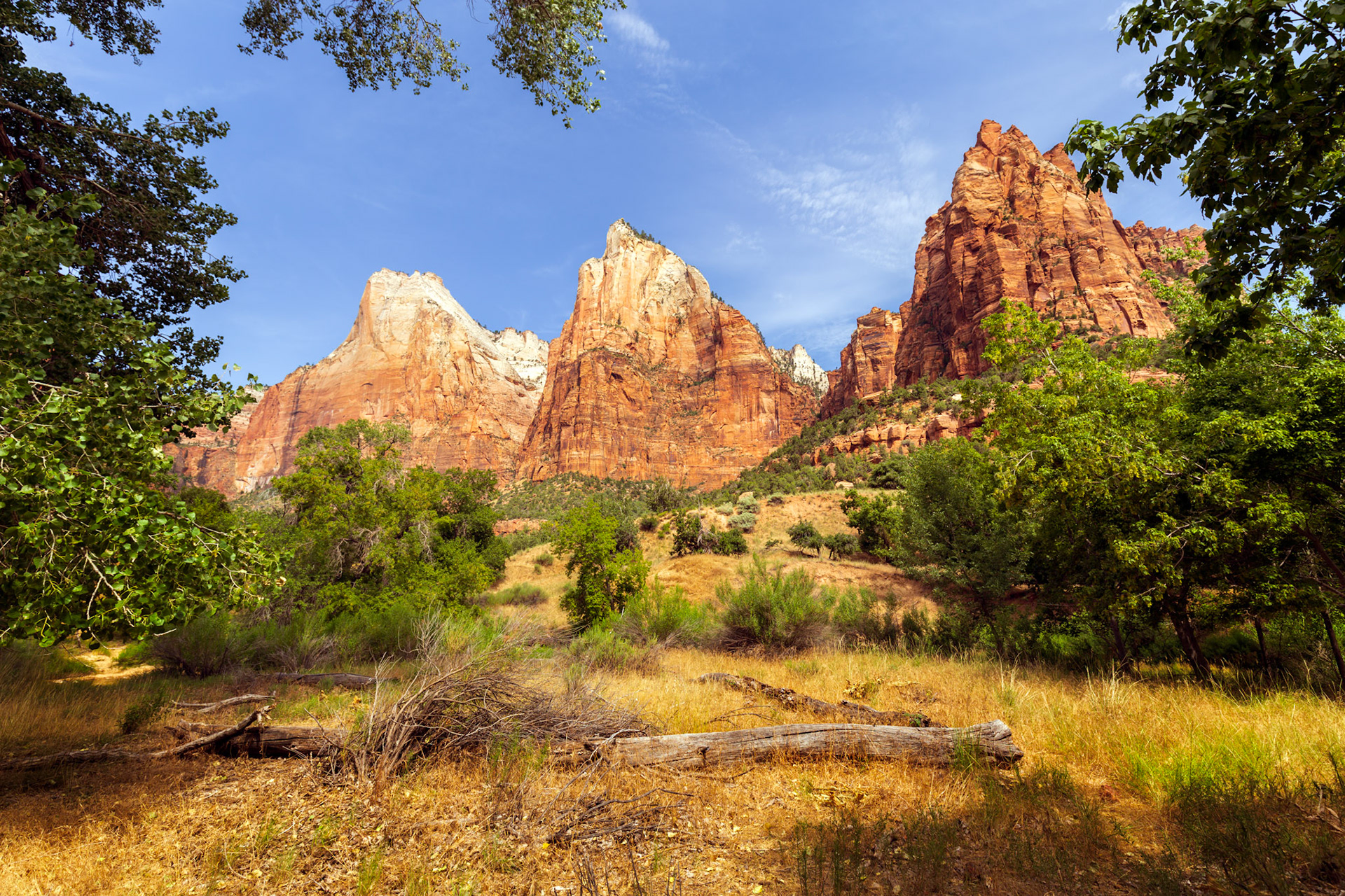 Court of the Patriarchs