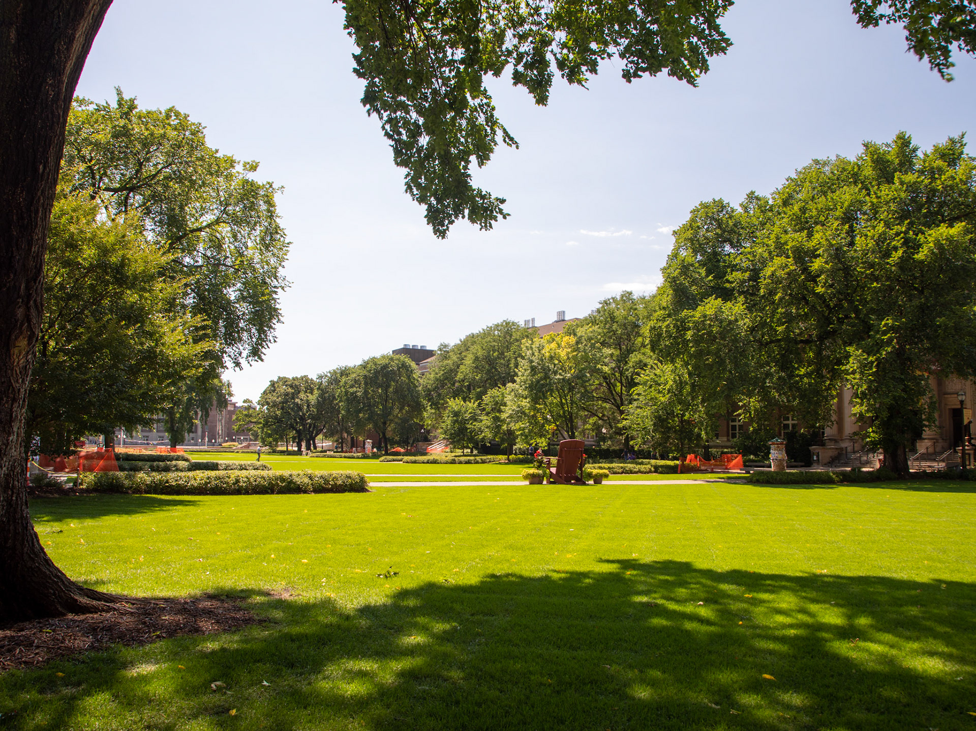 University of Minnesota