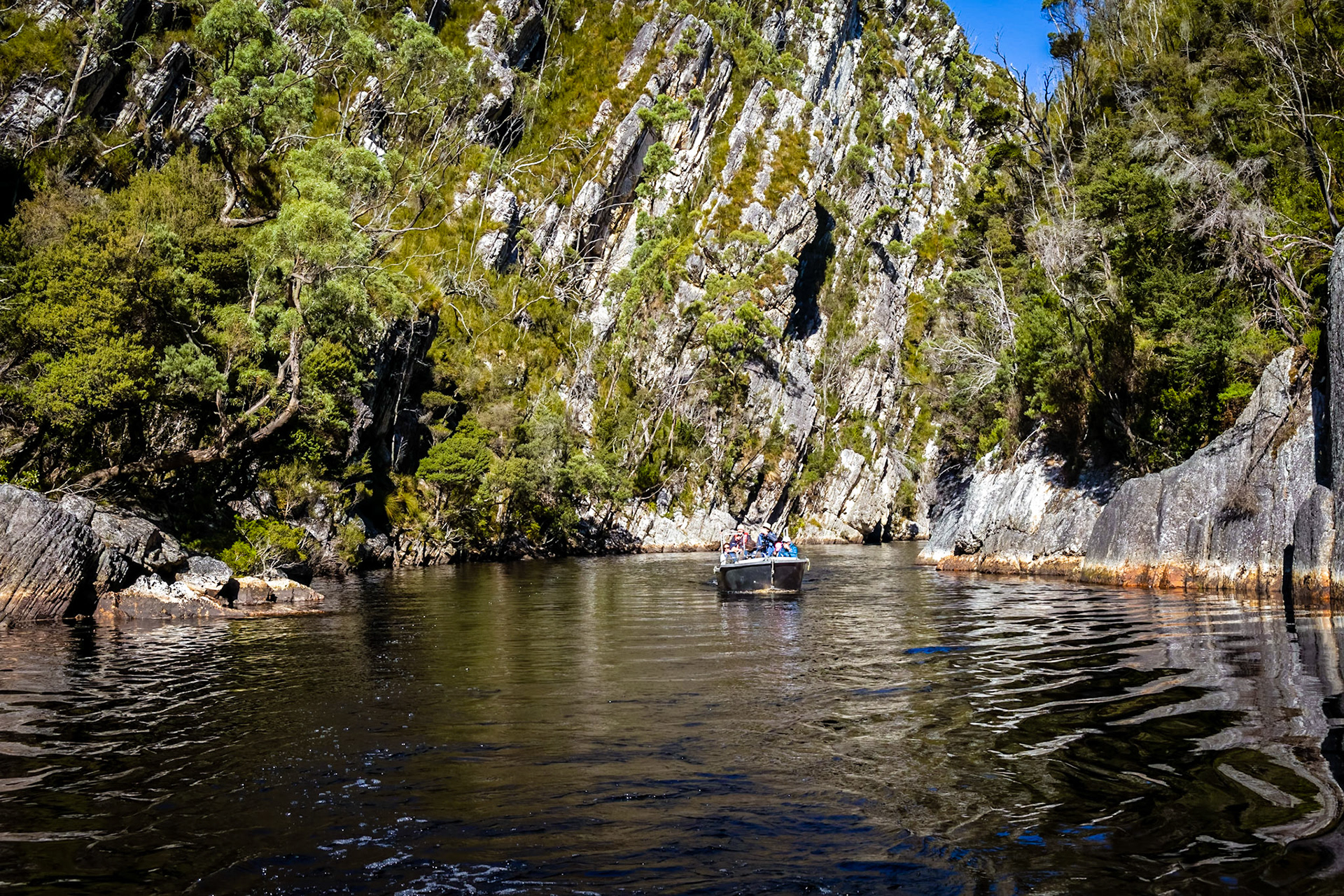 In the Davey River Gorge.