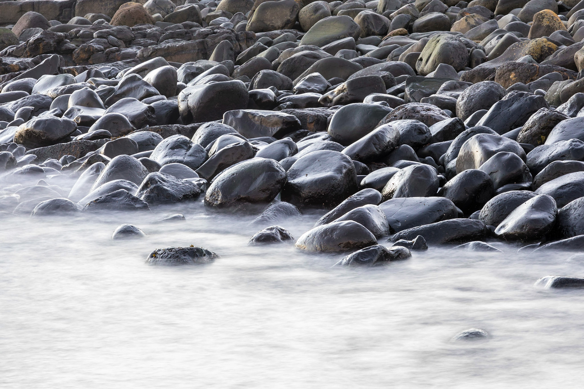 On the beach below Dunstanburgh Castle