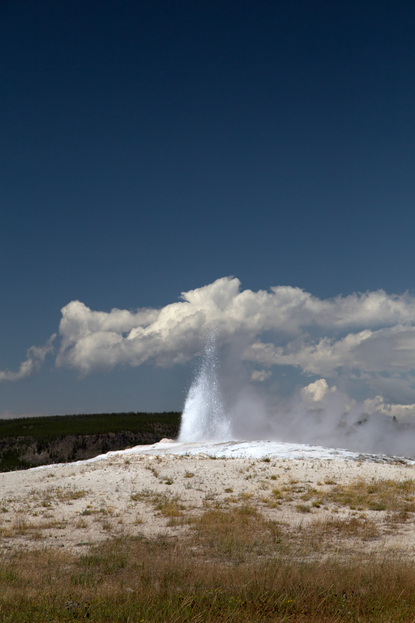 'Old Faithful' Geyser. Legendary geyser erupting on schedule. Yellowstone National Park, Wyoming.