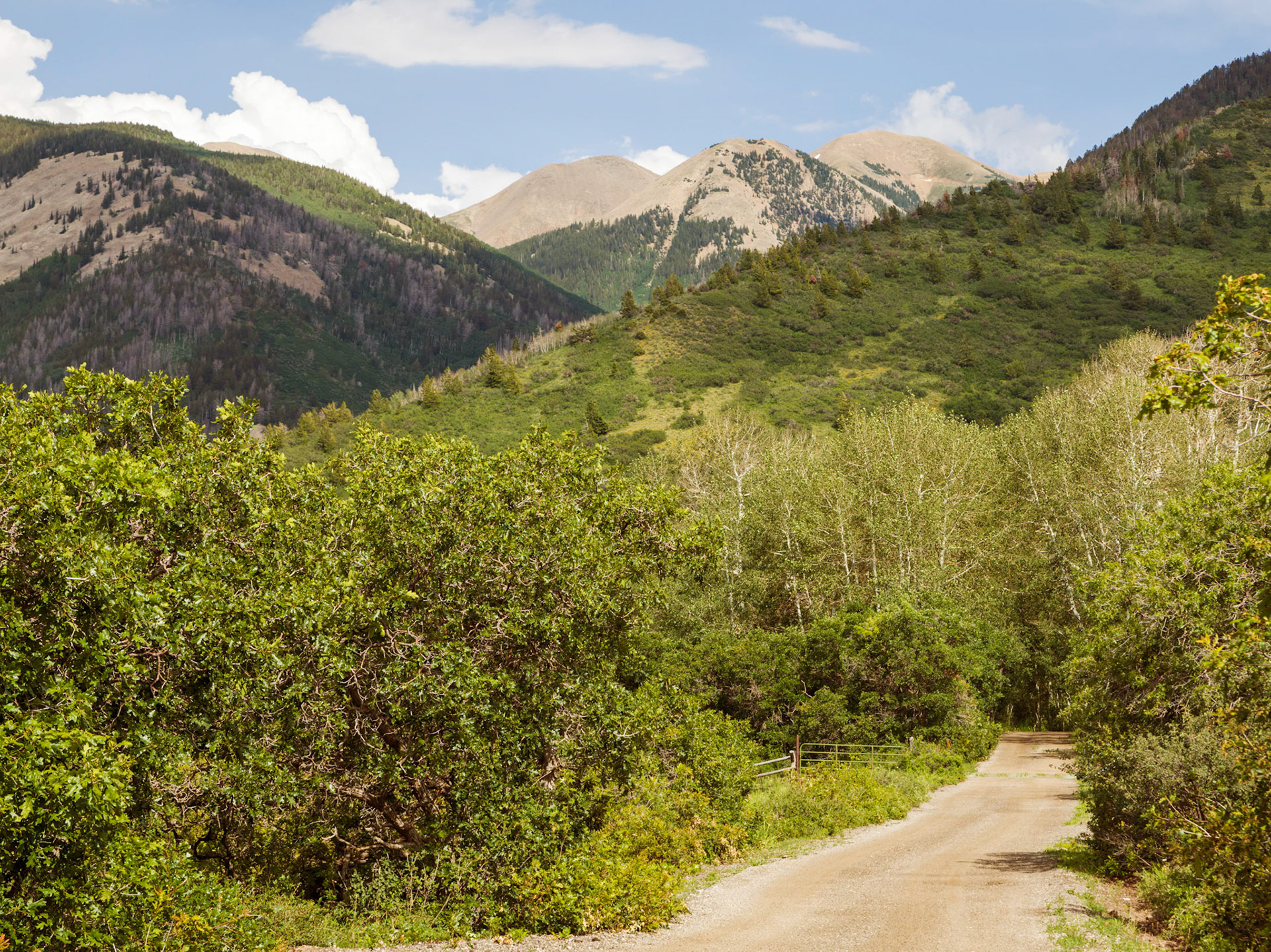 Getting up  in to higher altitudes . On a Farm Road to the Masons Draw Campground.