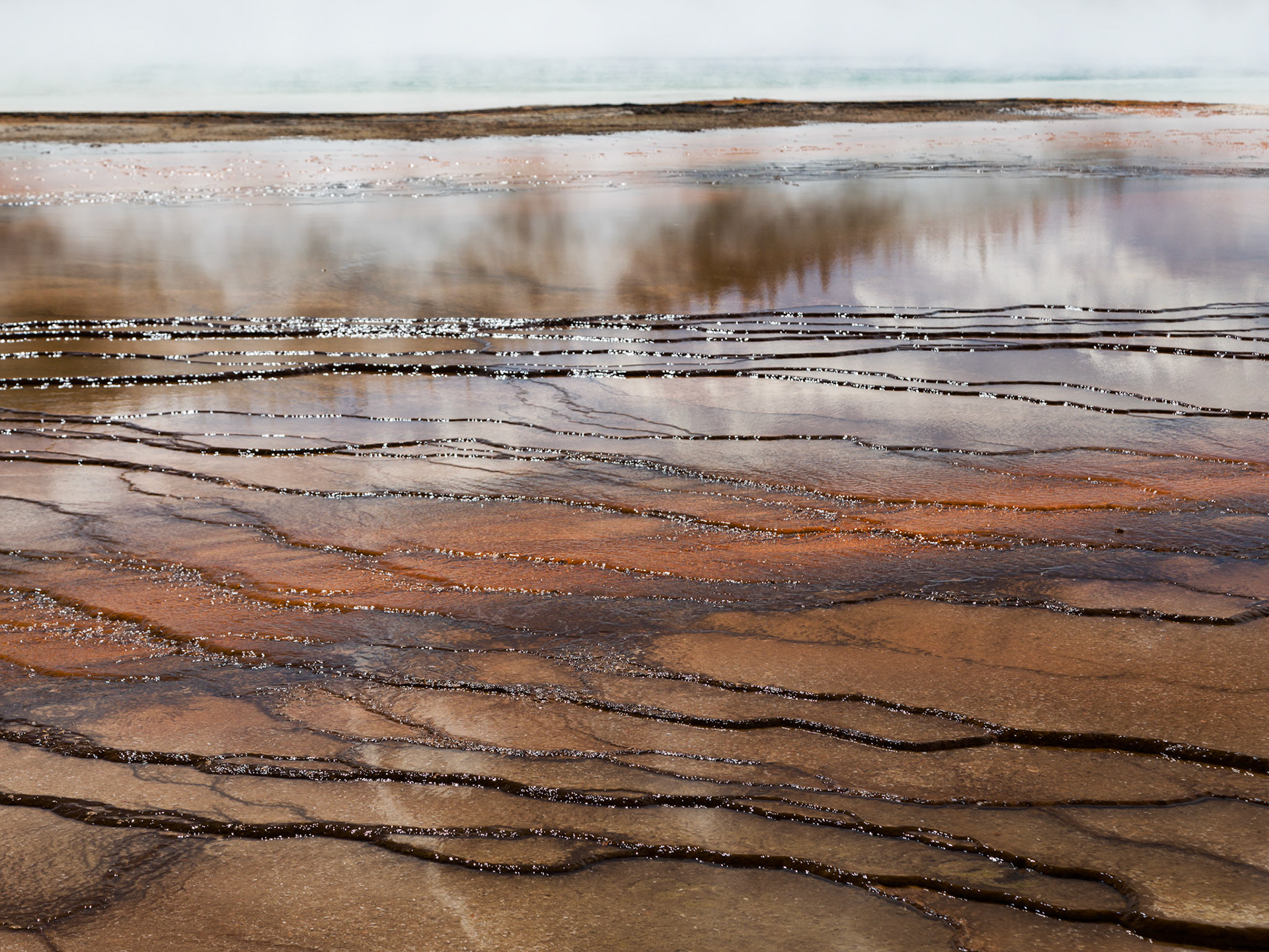 Midway Geyser Basin, Yellowstone National Park, Wyoming.