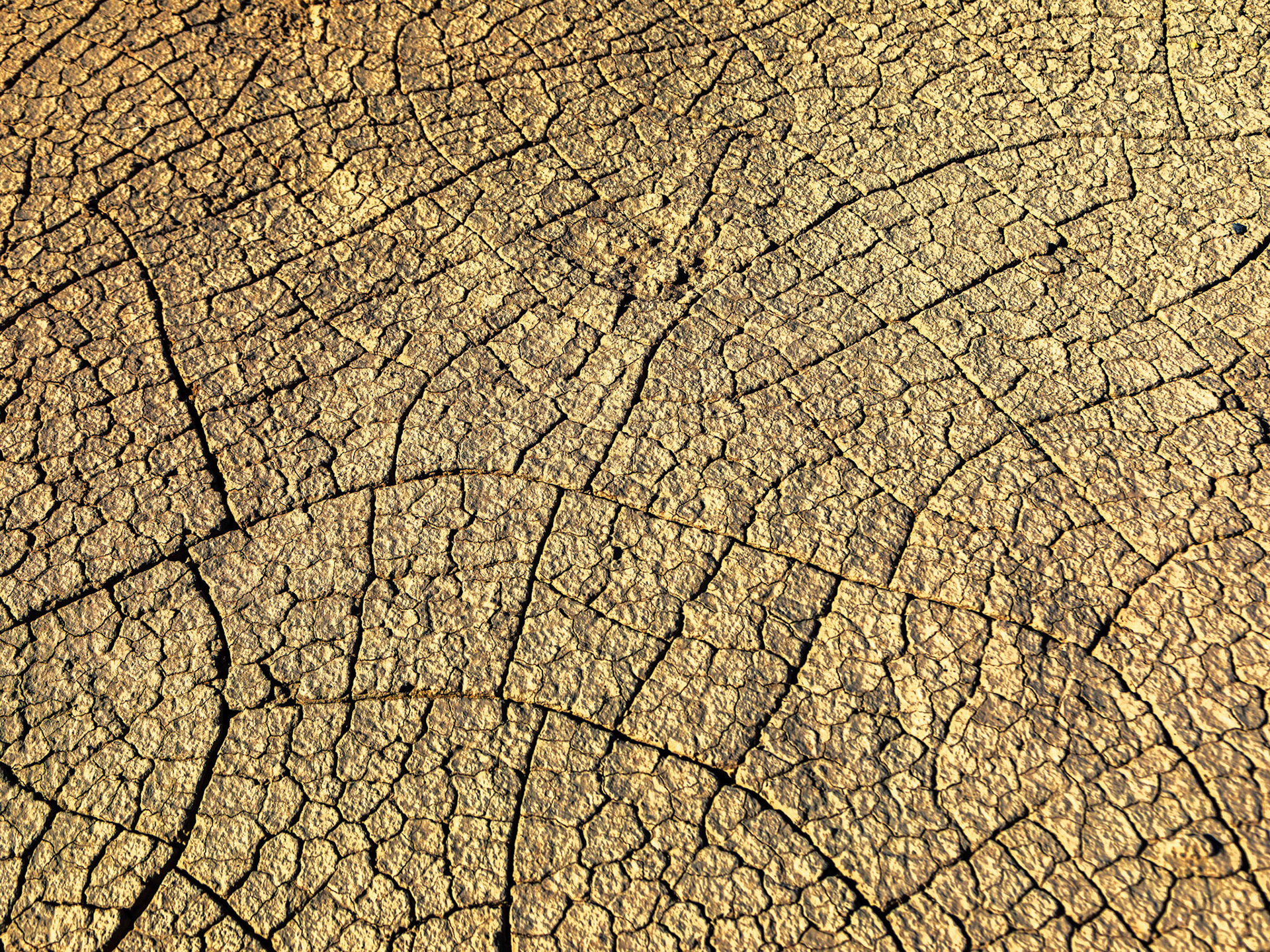 Dried ground after rains around Factory Butte