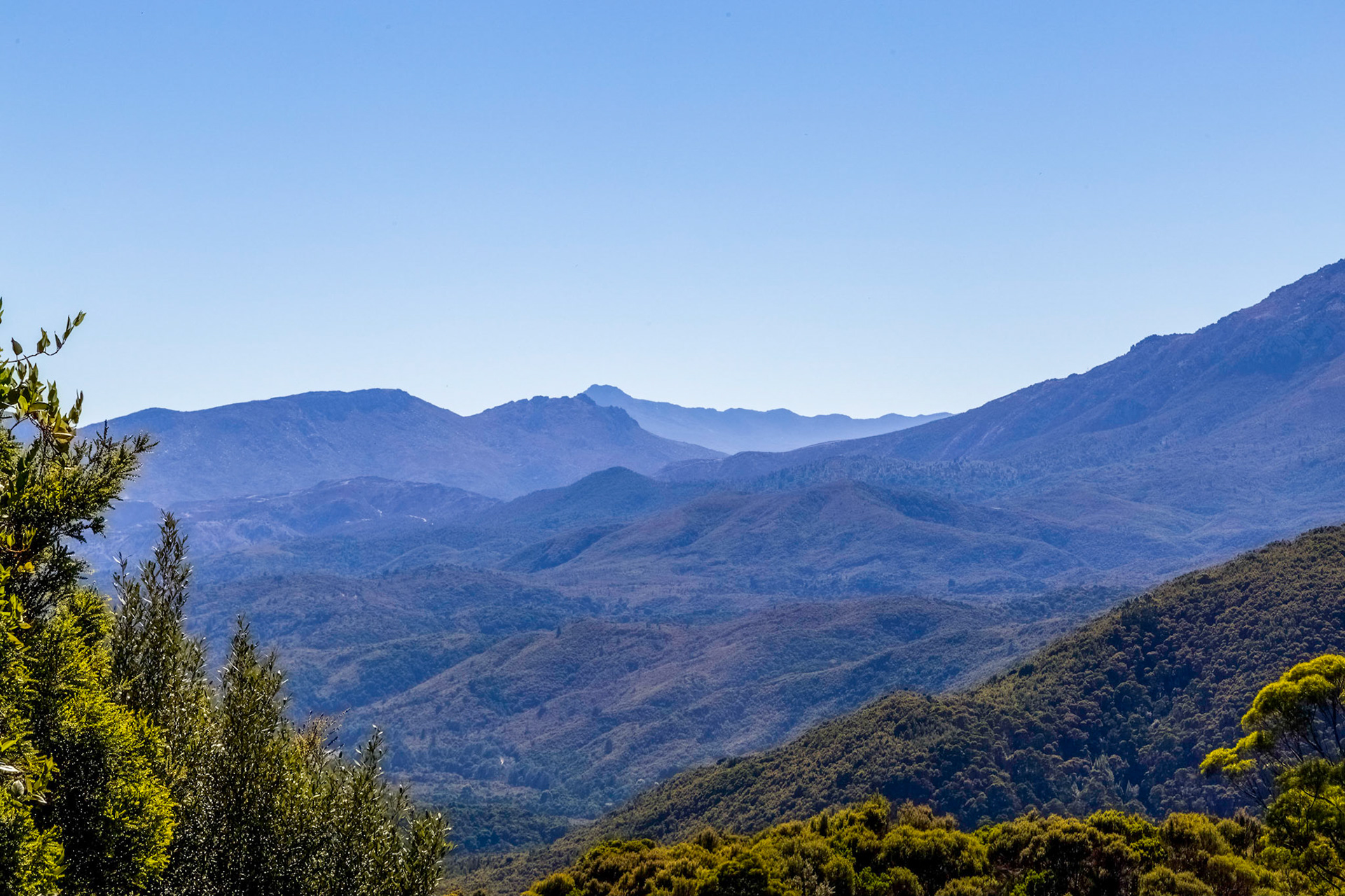 Rinadeena Lookout, Lyell Highway (B24) Strahan to Queenstown