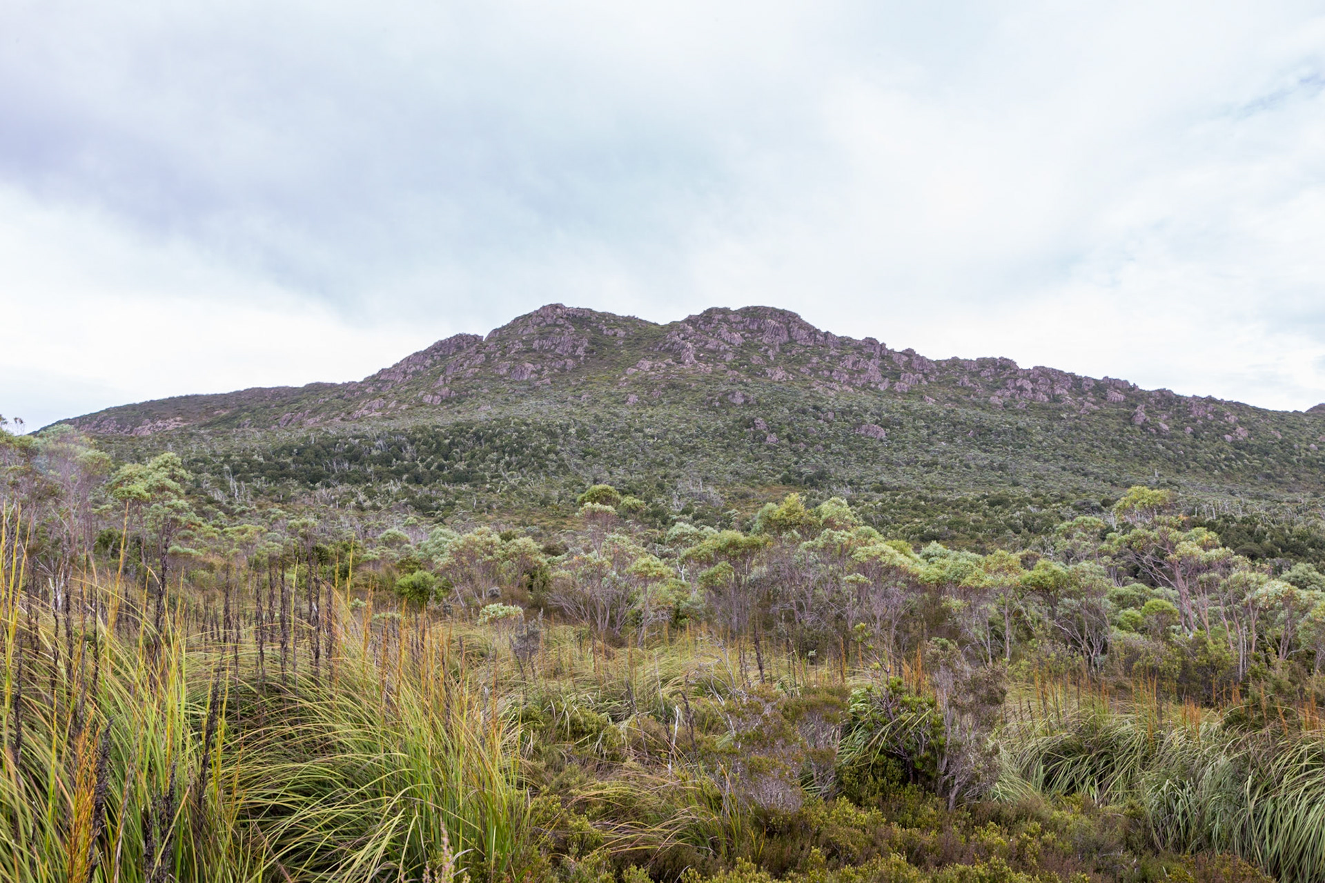Hartz Peak, Hartz Mountains National Park
