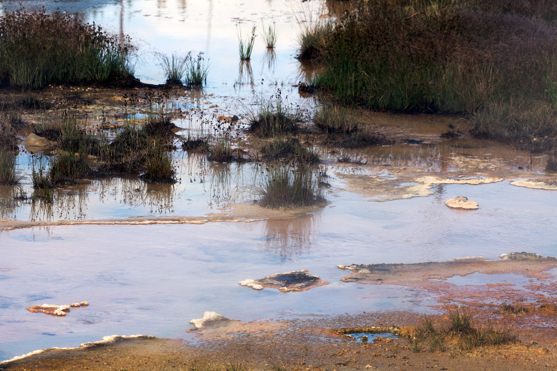 Artist Paint Pot Trail, Flash Spring.