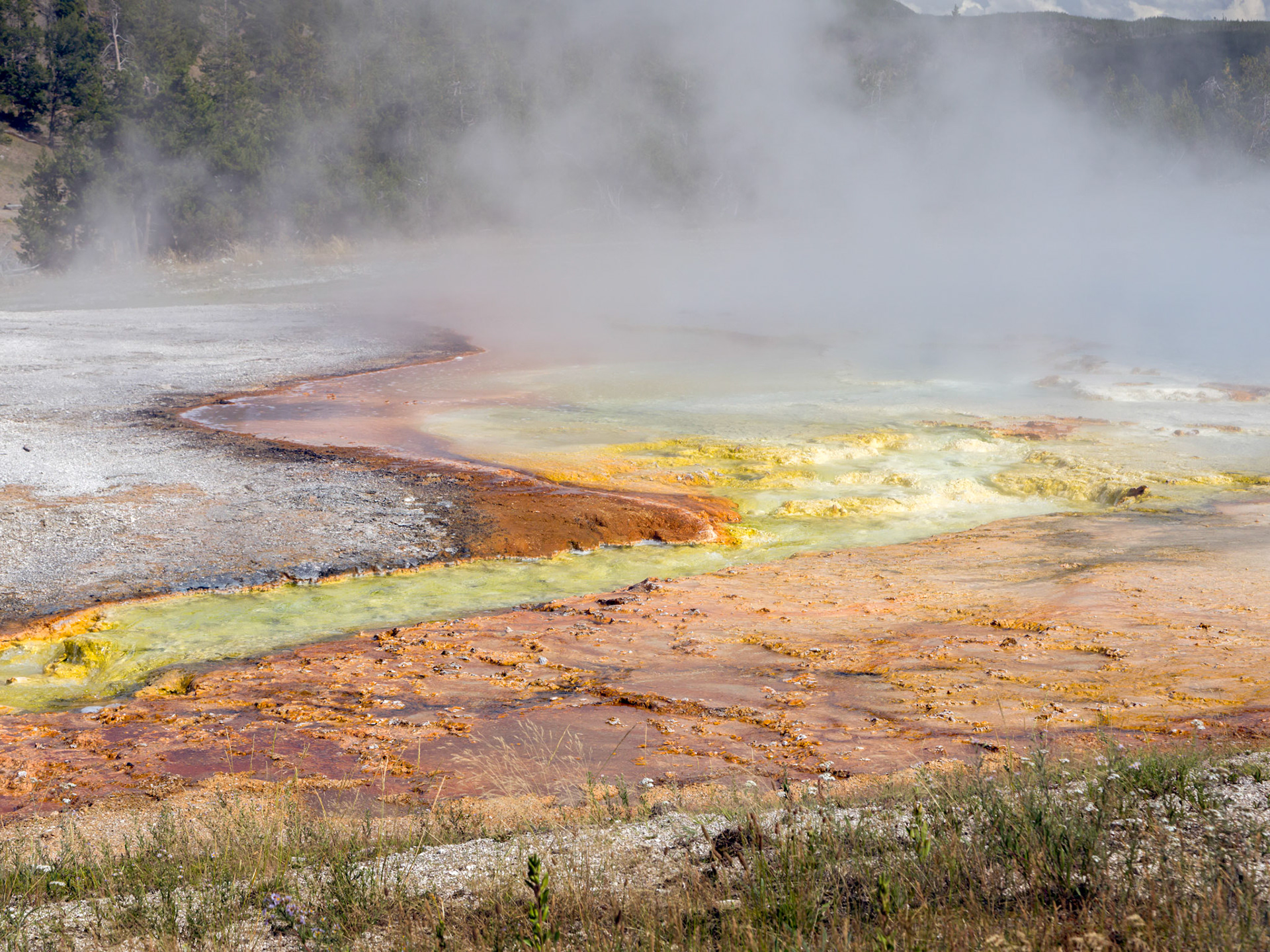 Runoff from the Excelsior Geyser Crater