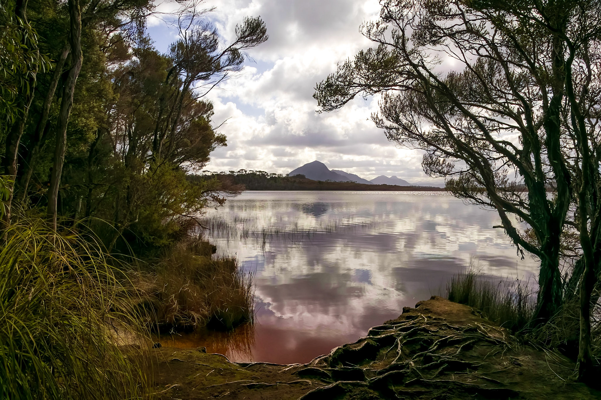 Melaleuca Lagoon