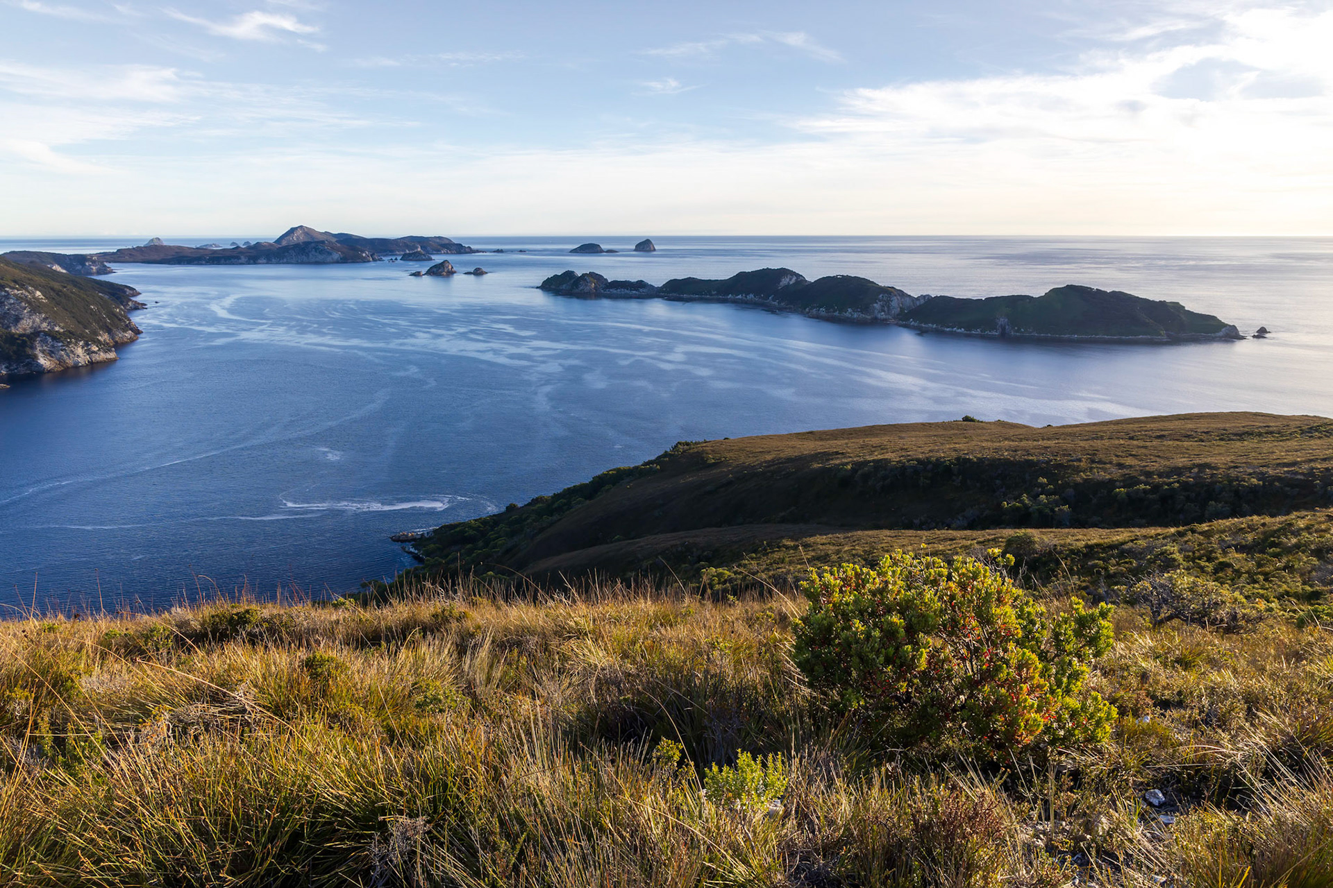 On the climb up Mount Milner; Breaksea Islands.