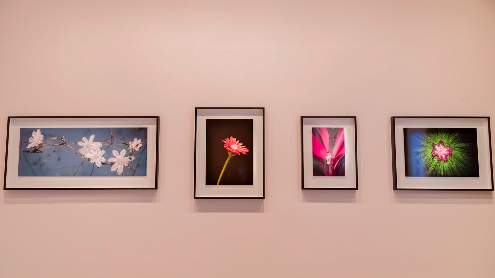 Partridge Tureen, Germany, c. 1760