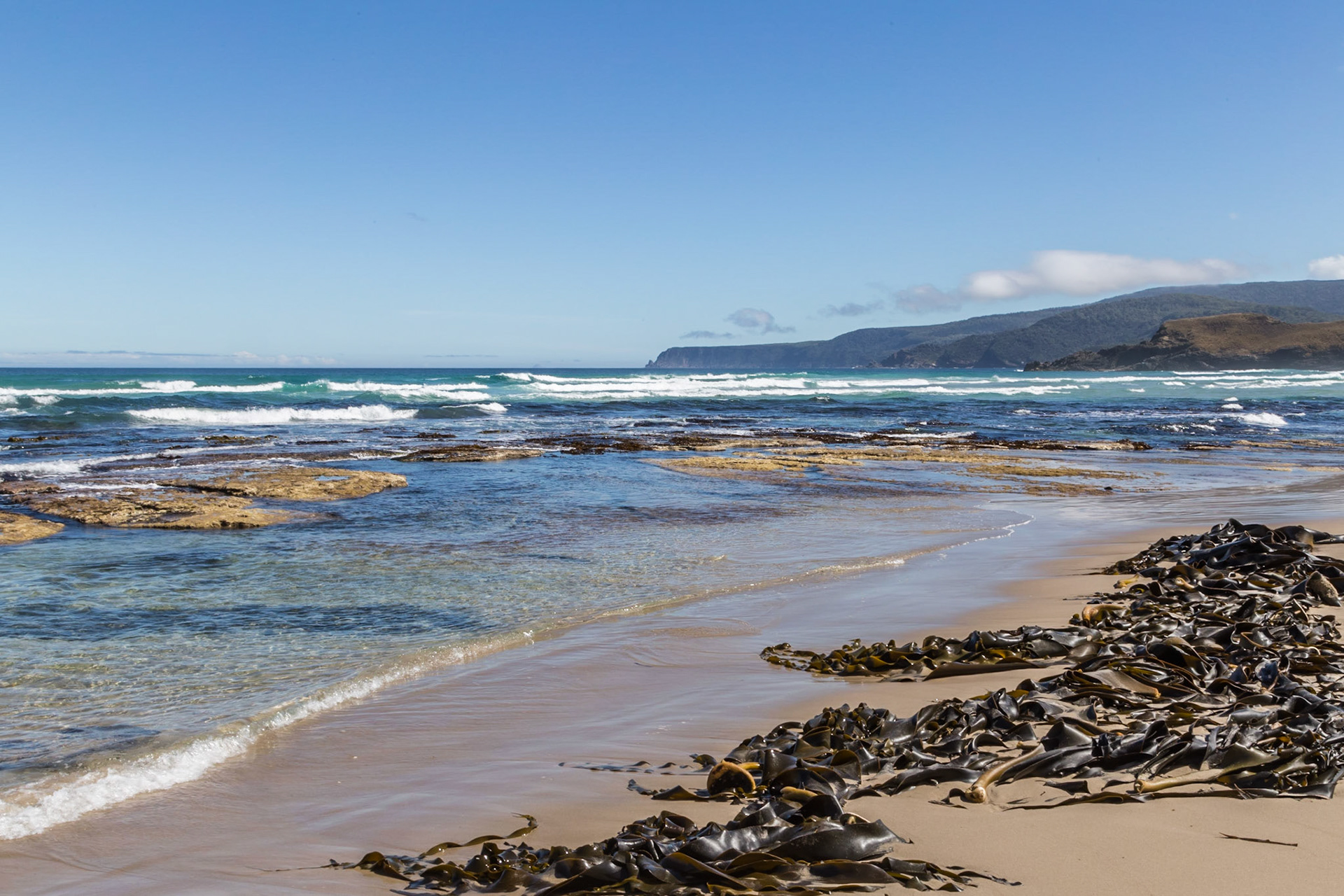 At South Cape Bay: view around to South Cape.