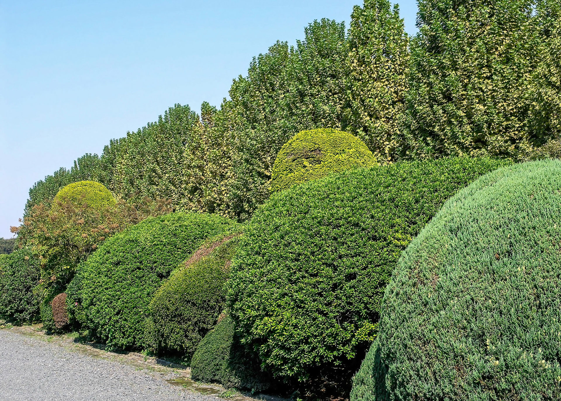 Shinjuku Gyoen National Garden