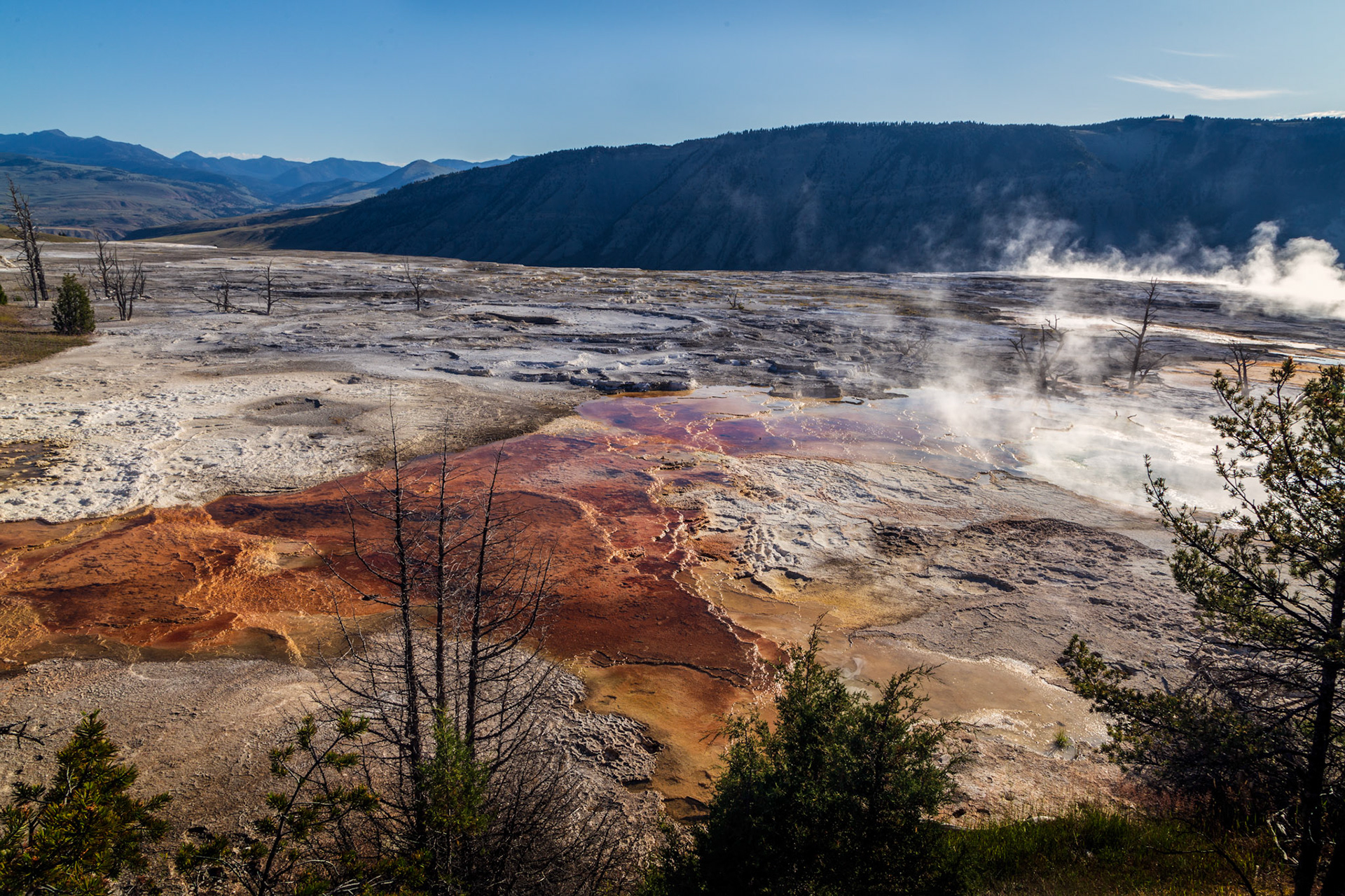 Lower Terraces, Mammoth Hot Springs. Yellowstone National Park, Wyoming.