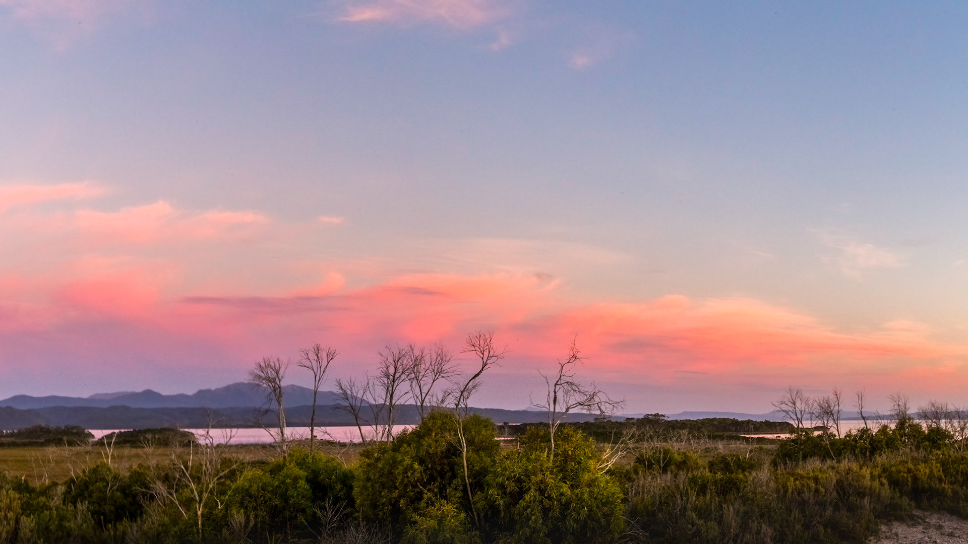 After sunset along the Macquarie Heads Road
