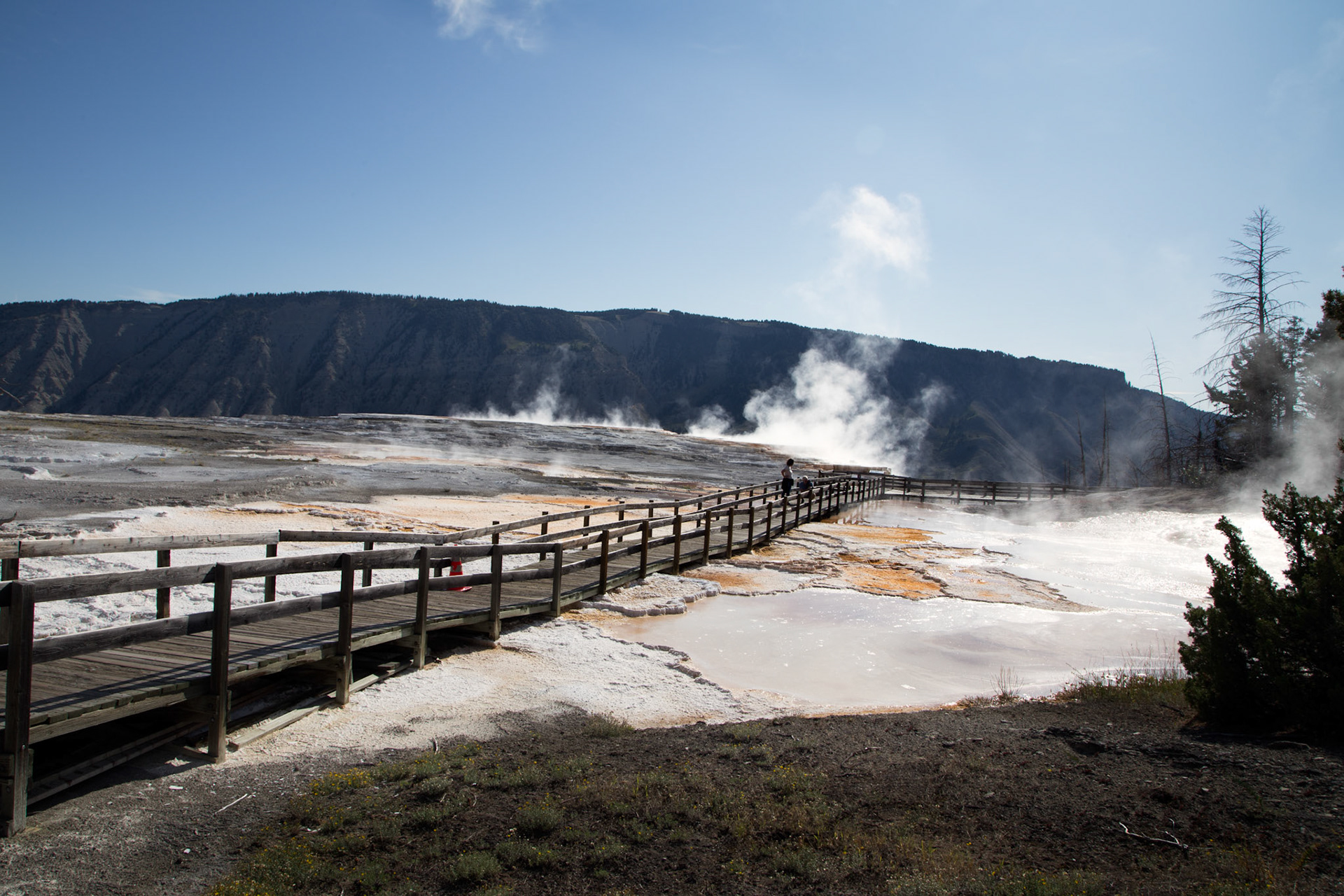 Lower Terraces, Mammoth Hot Springs. Yellowstone National Park, Wyoming.