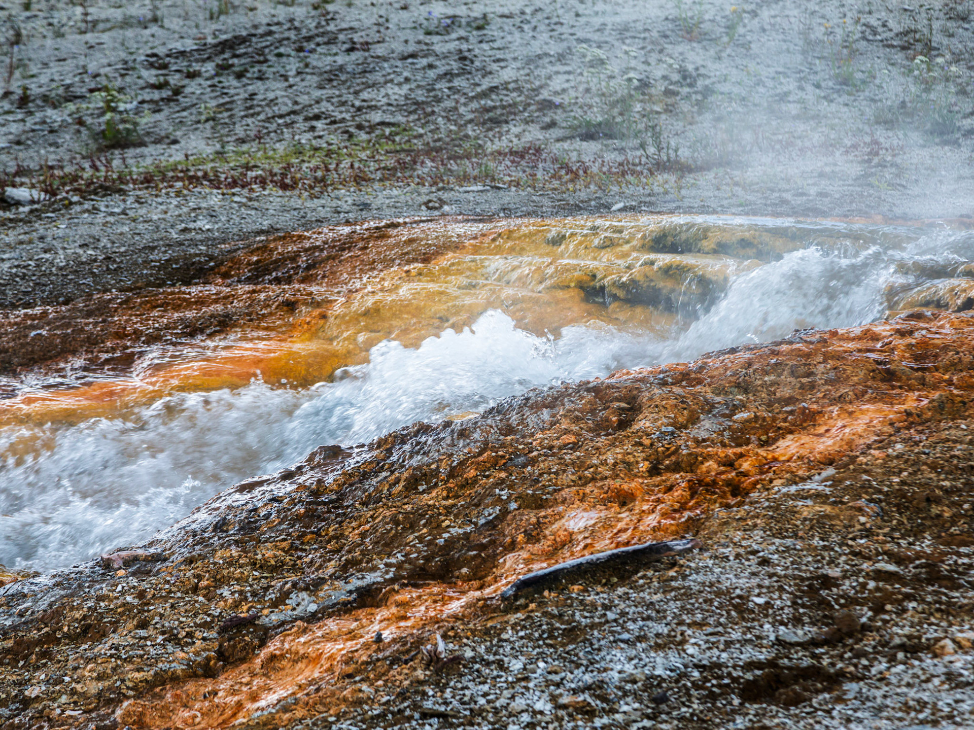 Midway Geyser Basin, Yellowstone National Park, Wyoming.