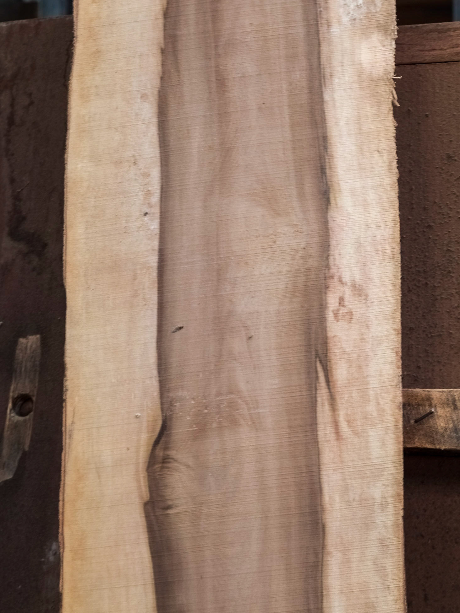 Black Heart Sassafrass. Tasmania Special Timbers sawmill (near Queenstown)