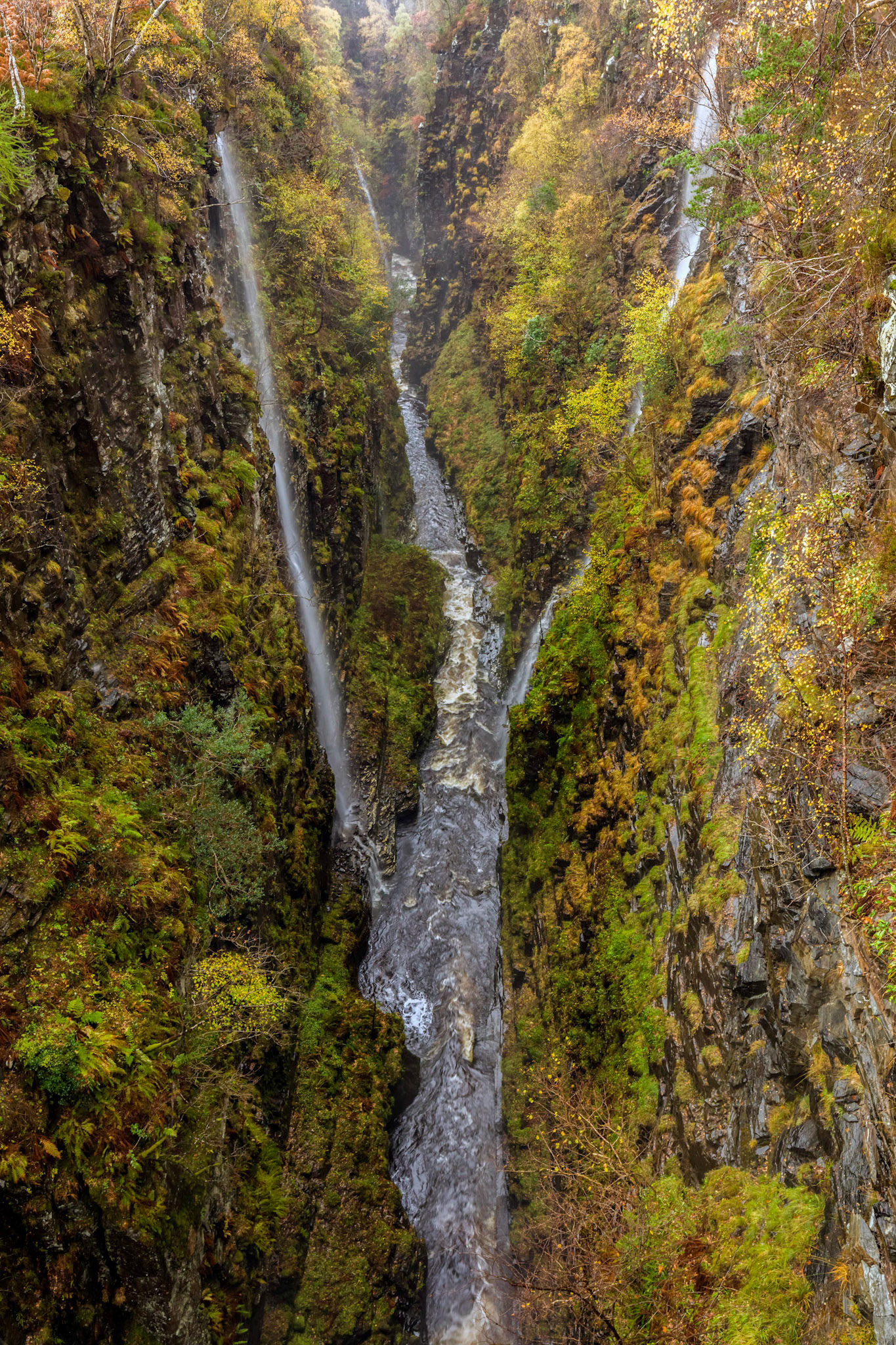 Corrieshalloch Gorge National Nature Reserve