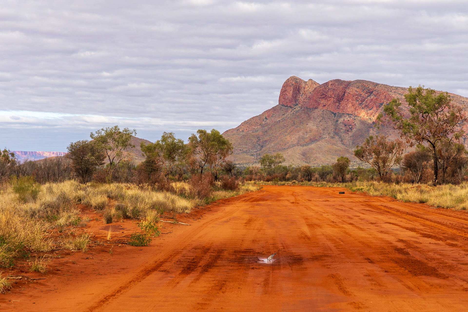 Namatjira Kintore Link Road towards Haasts Bluff