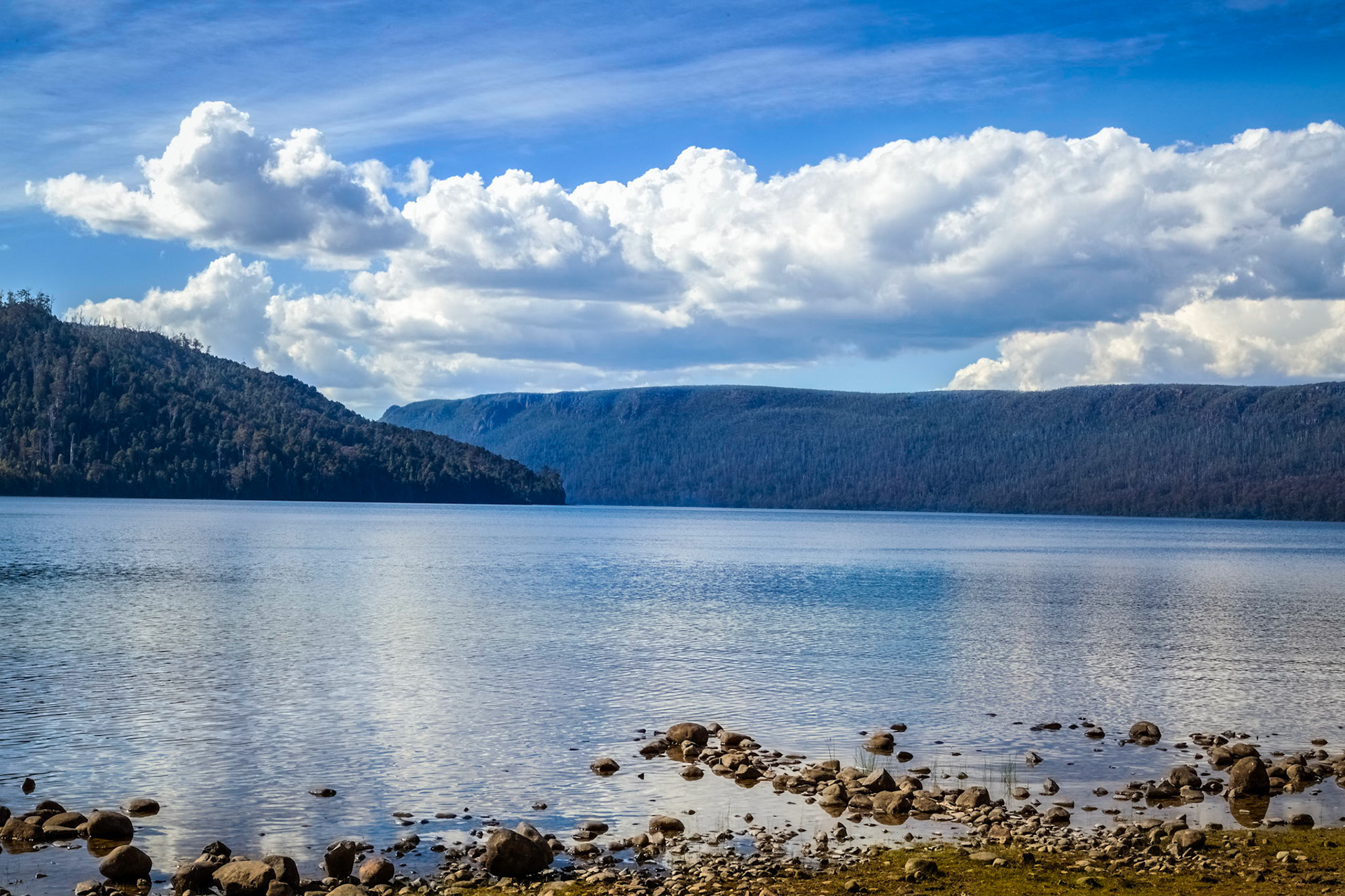 Lake St Clair - Cynthia Bay