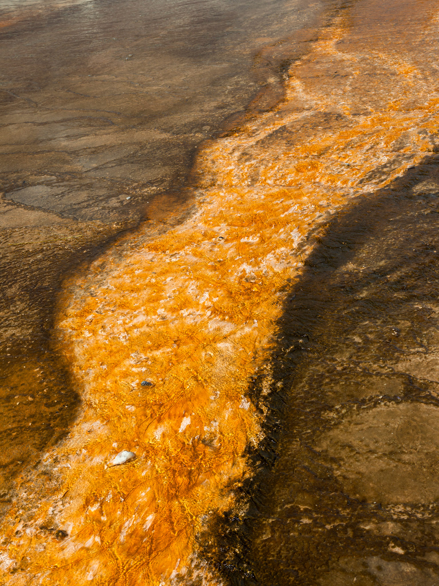 Midway Geyser Basin, Yellowstone National Park, Wyoming.