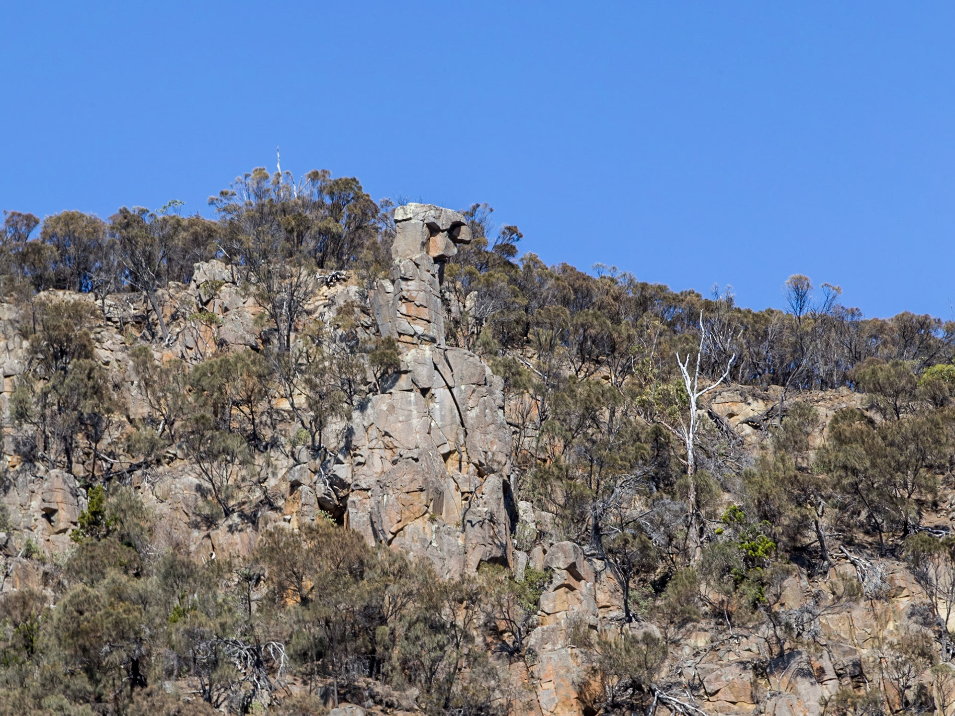 Eagle Rock. On the coast of the South Bruny National Park.