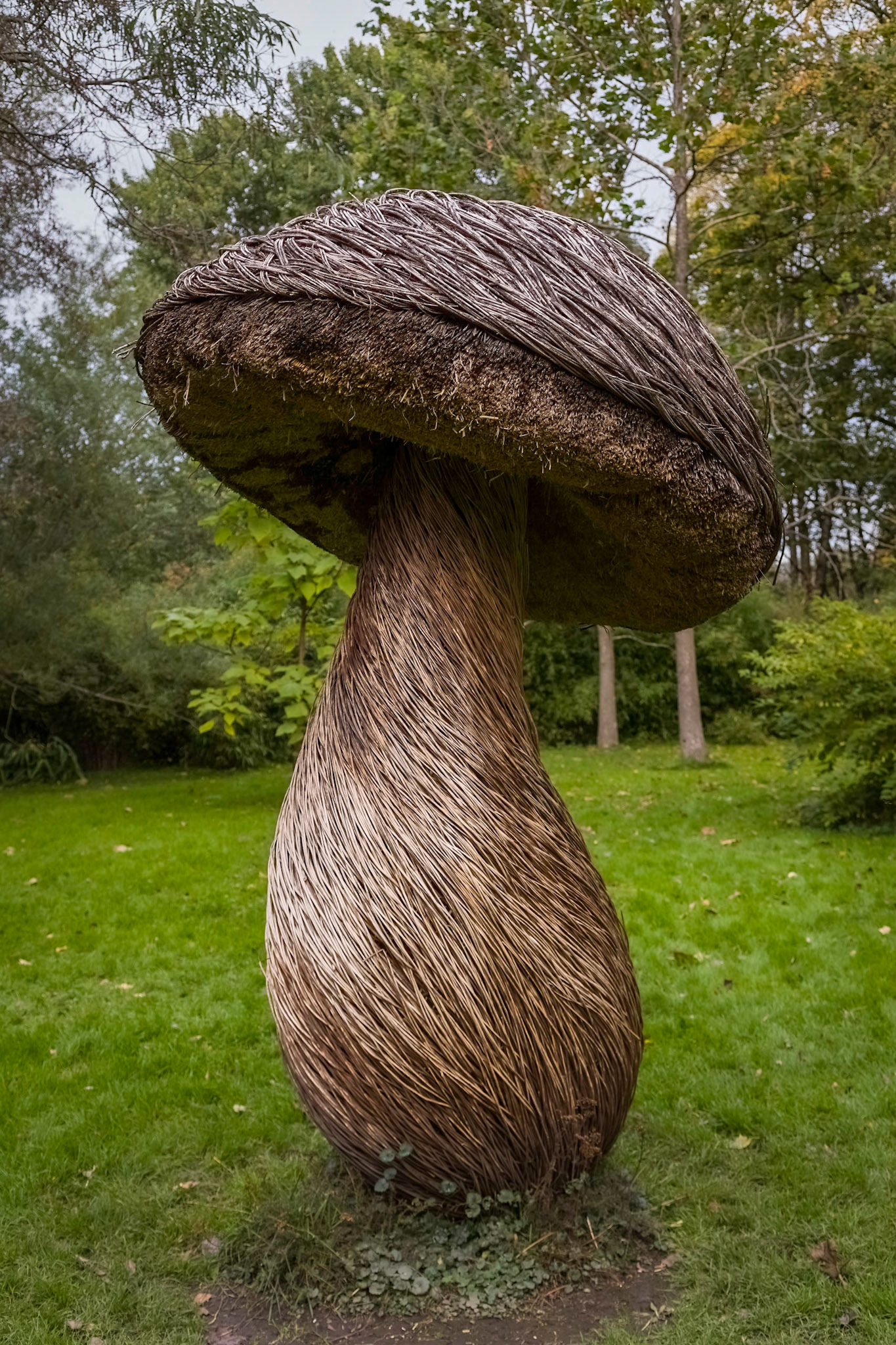 Willow sculpture, mushroom. Made by Tom Hare, a British willow scuplter. In the grounds of the university's Botanical Gardens
