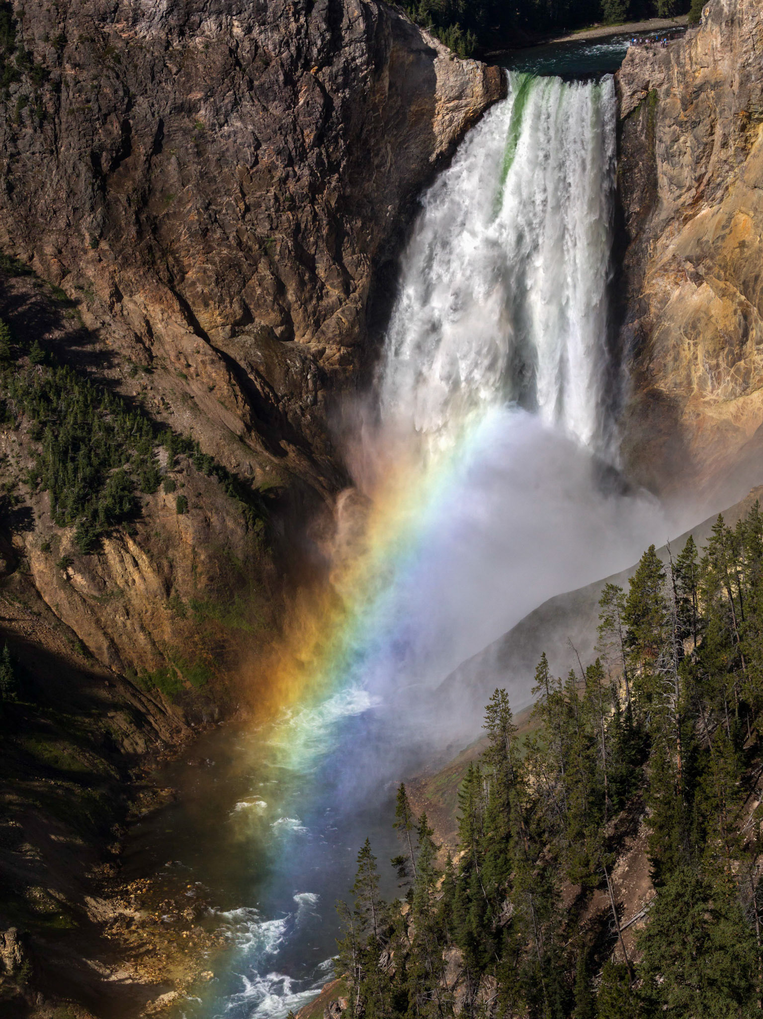 Lower Falls of the Yellowstone, Lookout Point