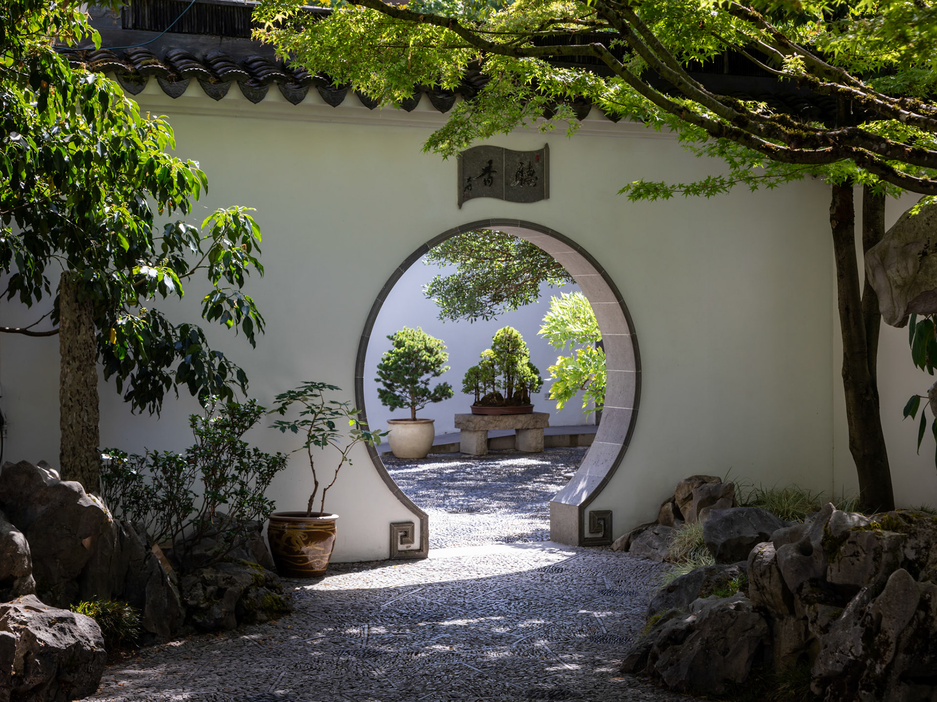 In the Chinese Garden